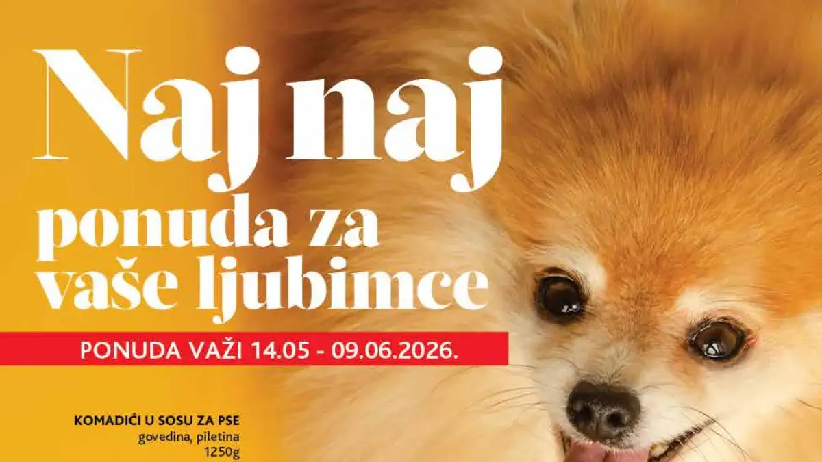 IDEA Roda Mercator katalog za ljubimce jun 2026 – Buddy poslastice, My Pets hrana za pse i Kitty hrana za mačke na sniženju
