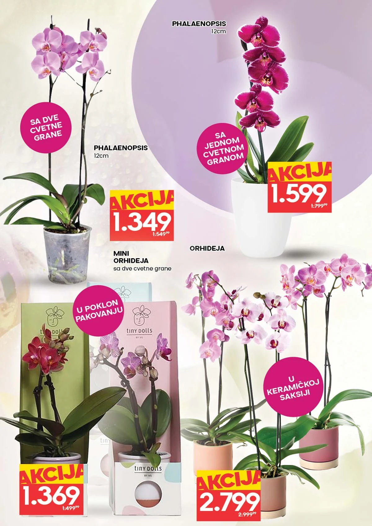 IDEA i RODA akcija cveća sniženja za Dan žena do 11. marta 2026 katalog strana 2