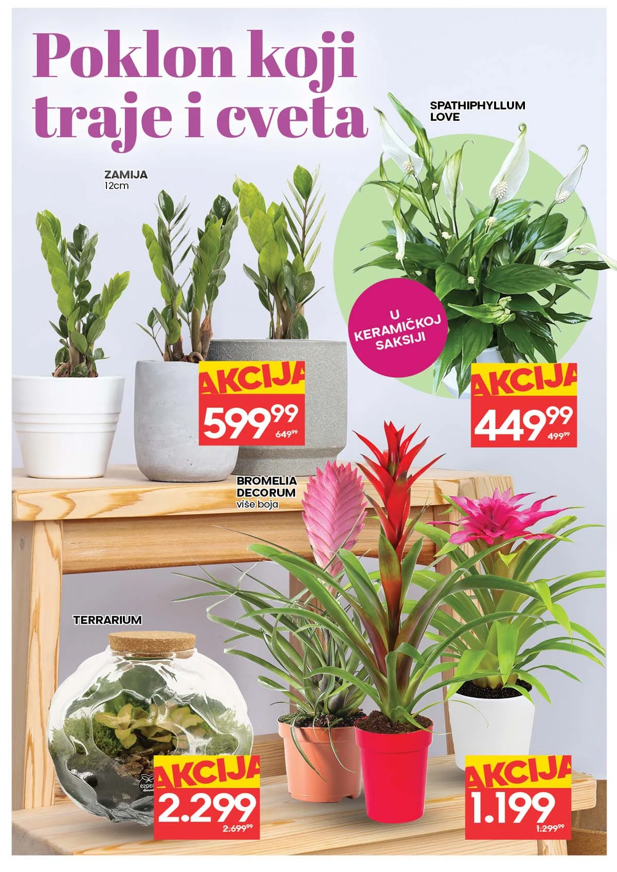 IDEA i RODA akcija cveća sniženja za Dan žena do 11. marta 2026 katalog strana 6