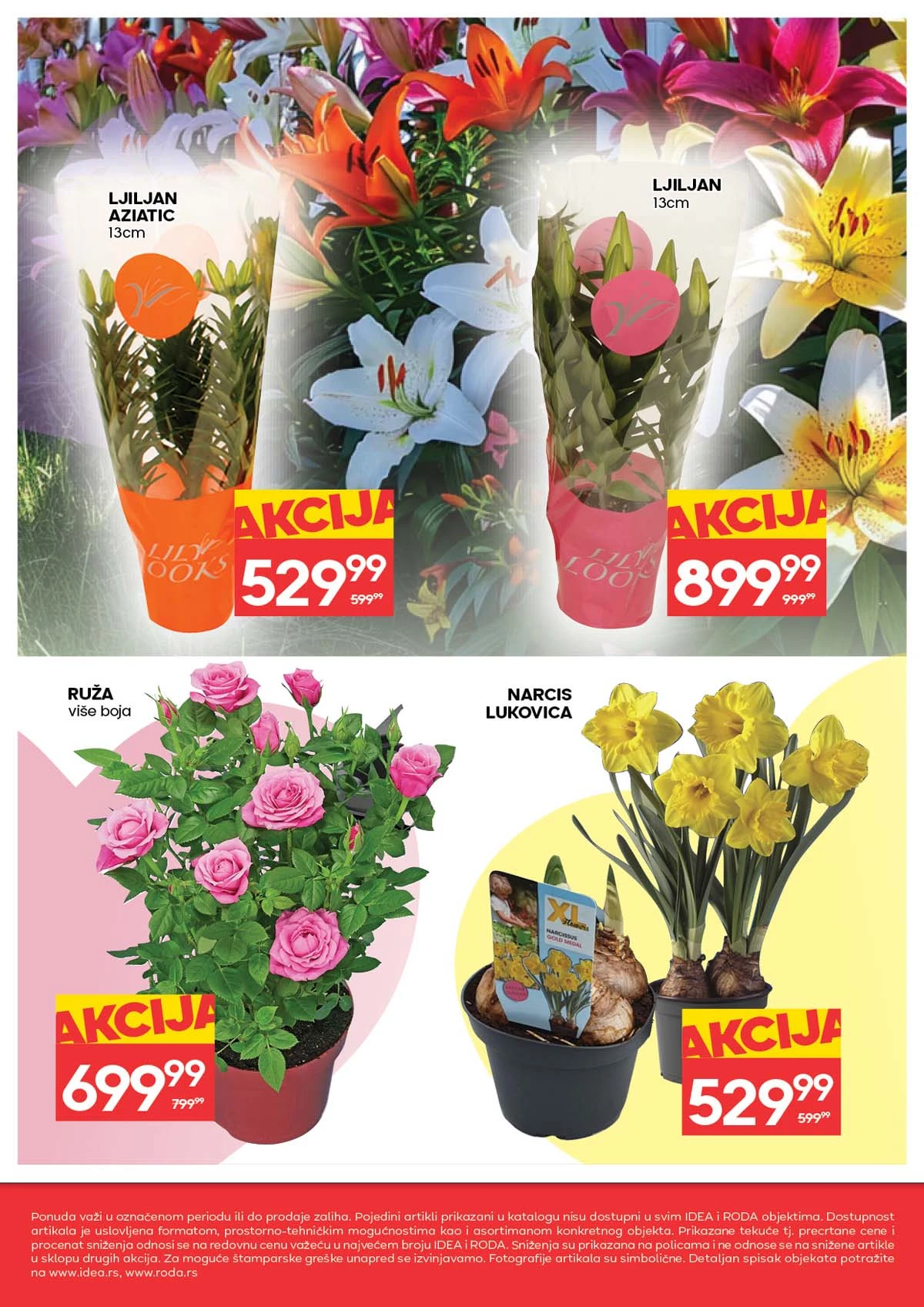 IDEA i RODA akcija cveća sniženja za Dan žena do 11. marta 2026 katalog strana 8