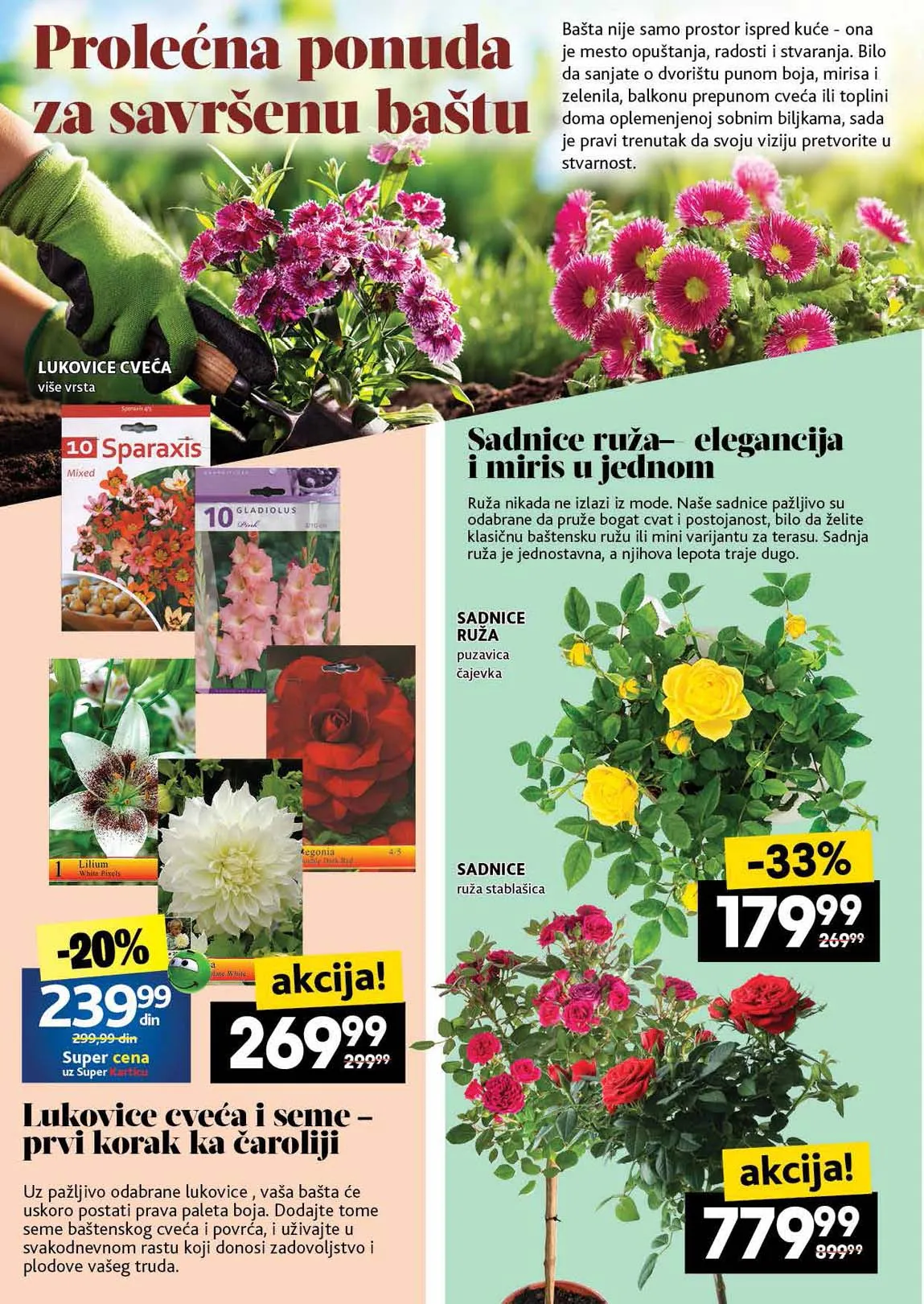 Idea kataloška akcija sniženja