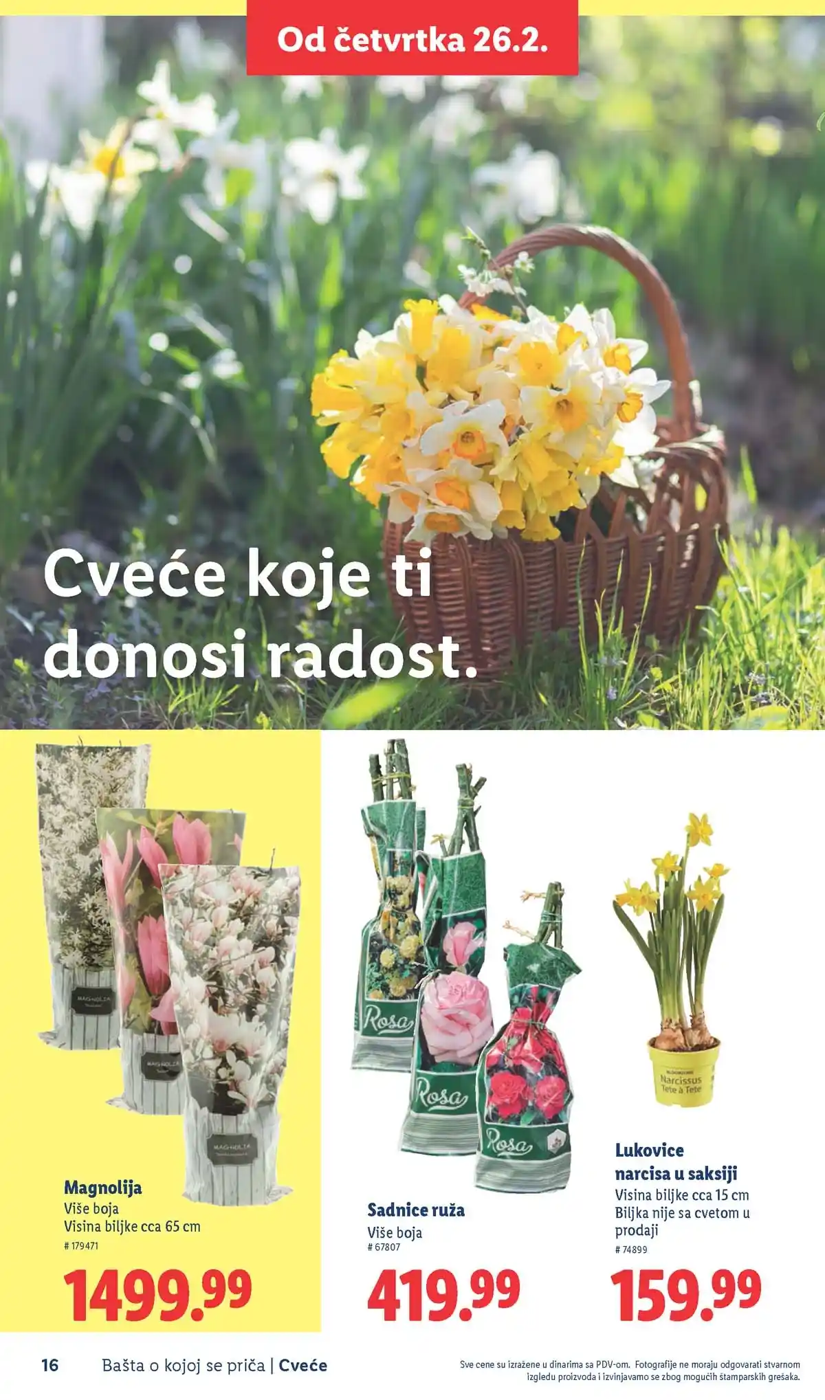 Lidl akcija sniženja Bašta o kojoj se priča