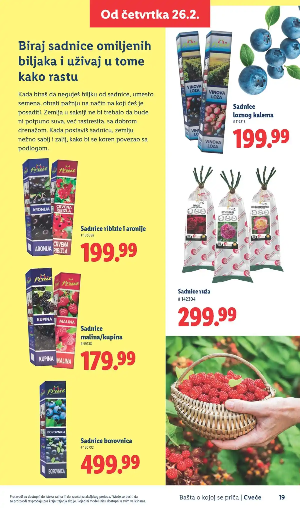 Lidl akcija sniženja Bašta o kojoj se priča
