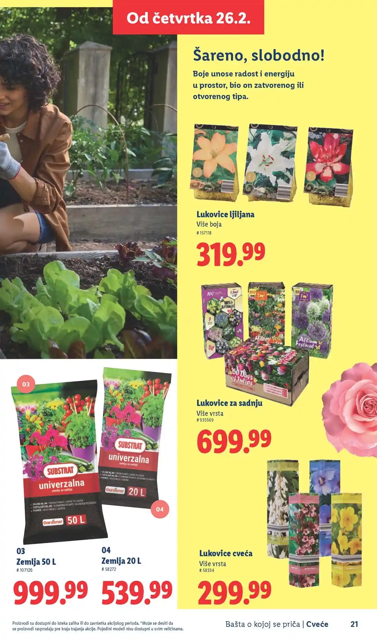 Lidl akcija sniženja Bašta o kojoj se priča
