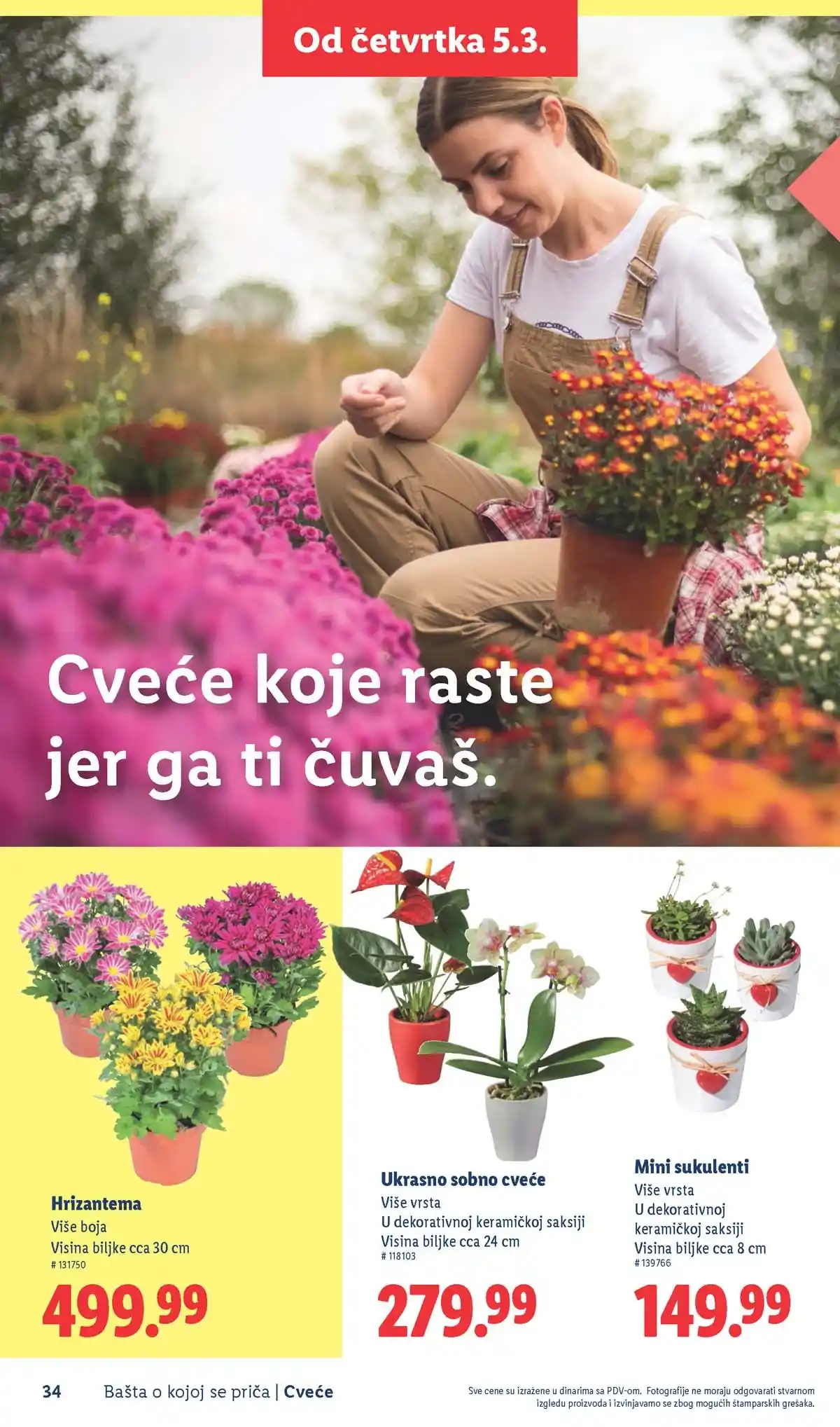 Lidl akcija sniženja Bašta o kojoj se priča