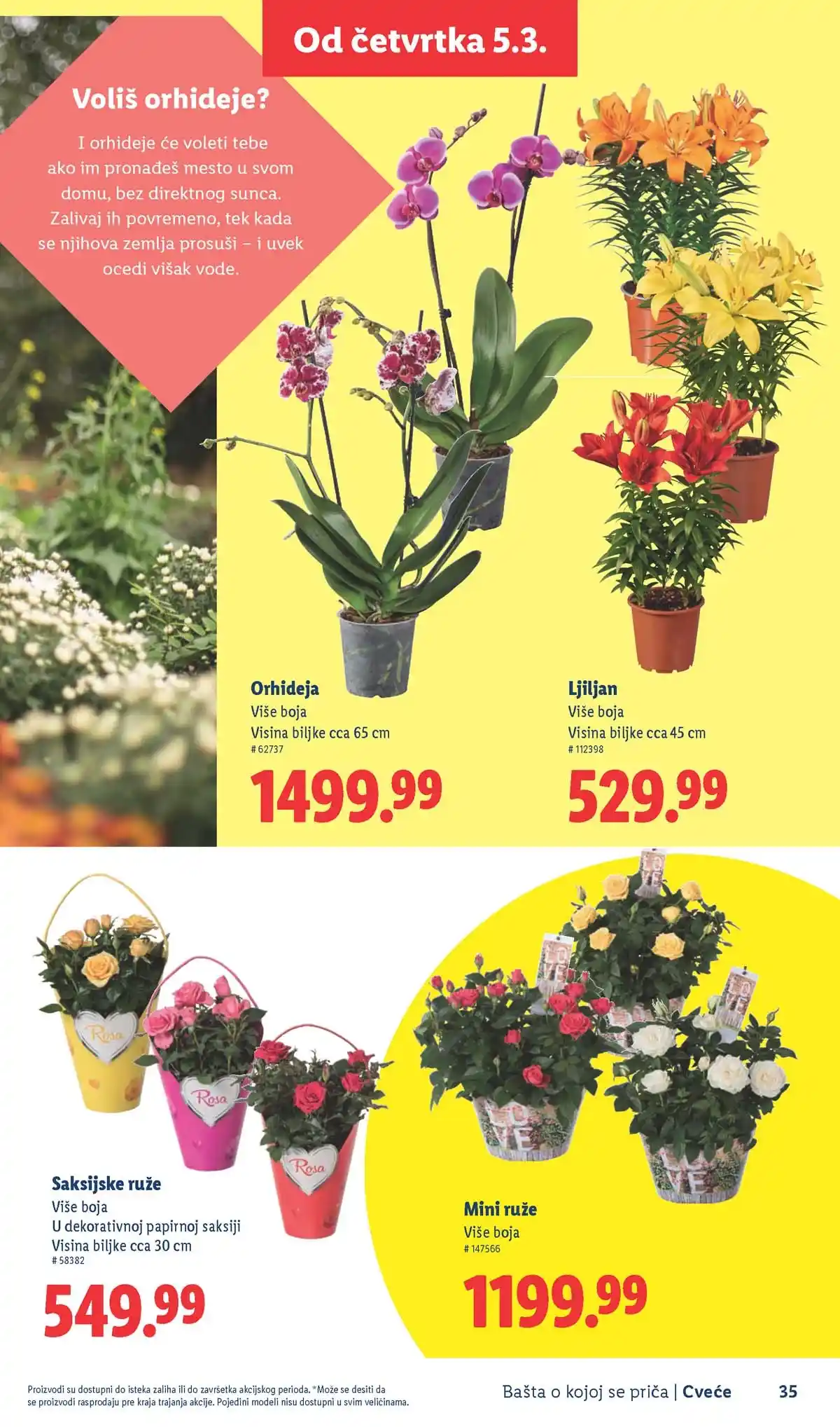 Lidl akcija sniženja Bašta o kojoj se priča