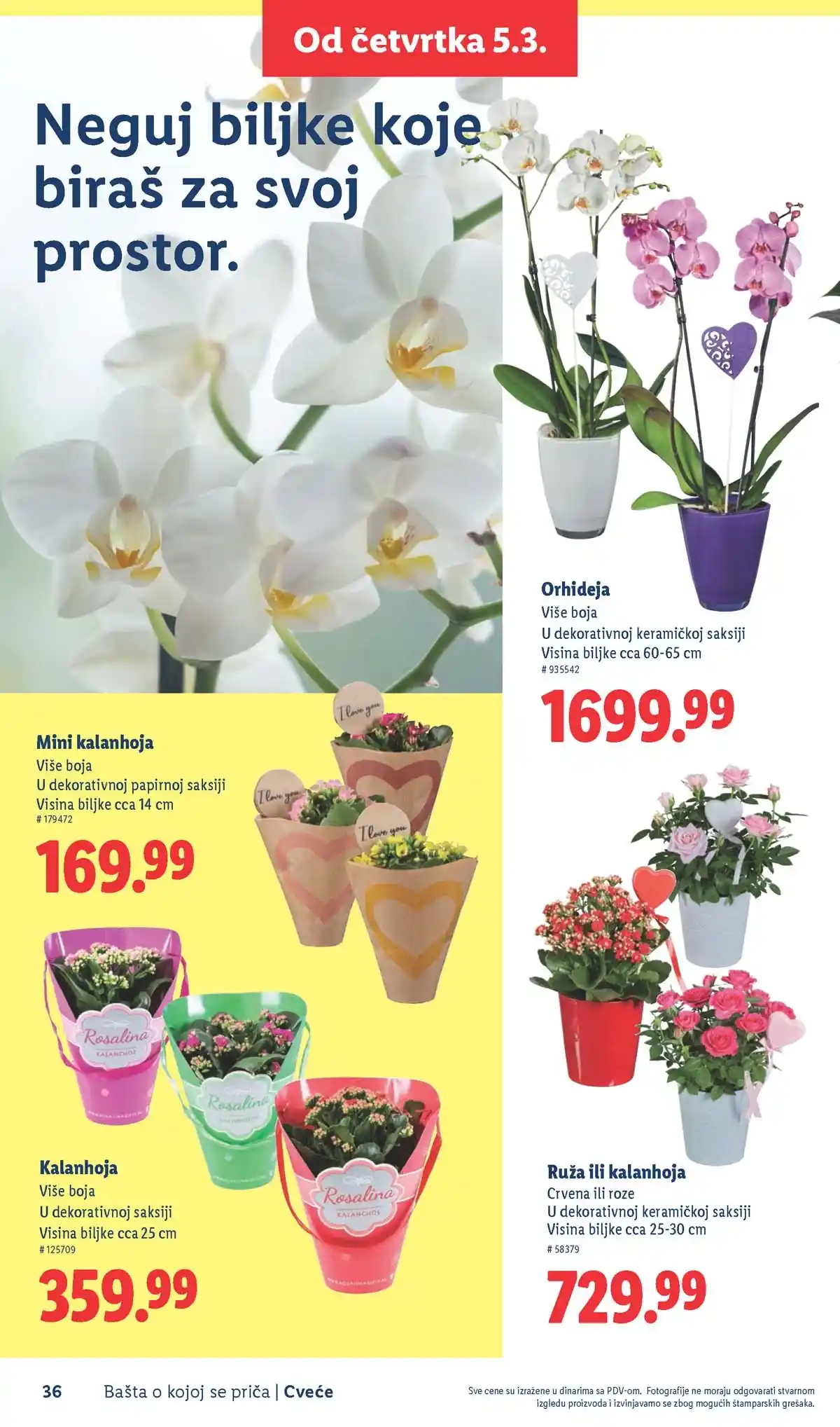 Lidl akcija sniženja Bašta o kojoj se priča
