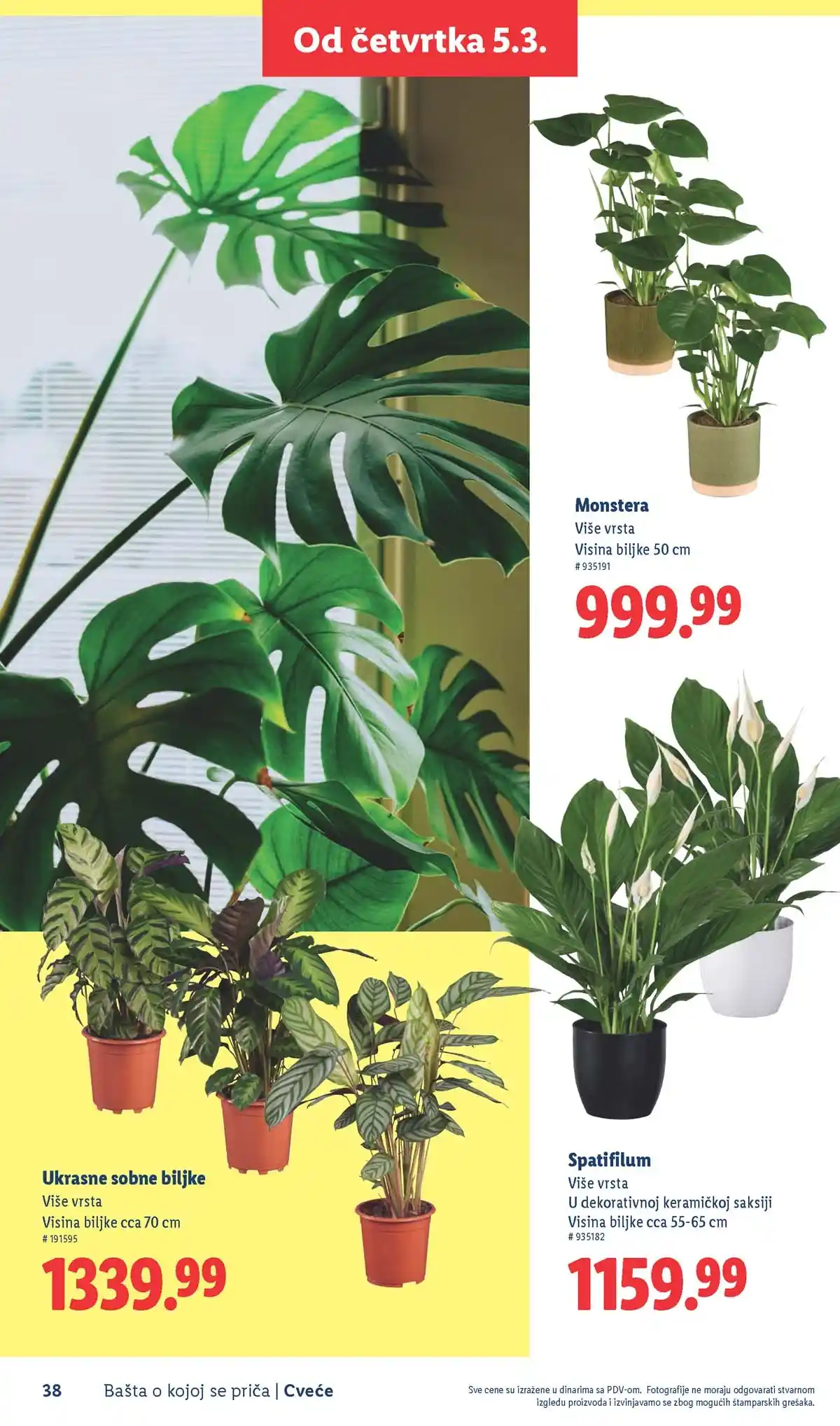 Lidl akcija sniženja Bašta o kojoj se priča