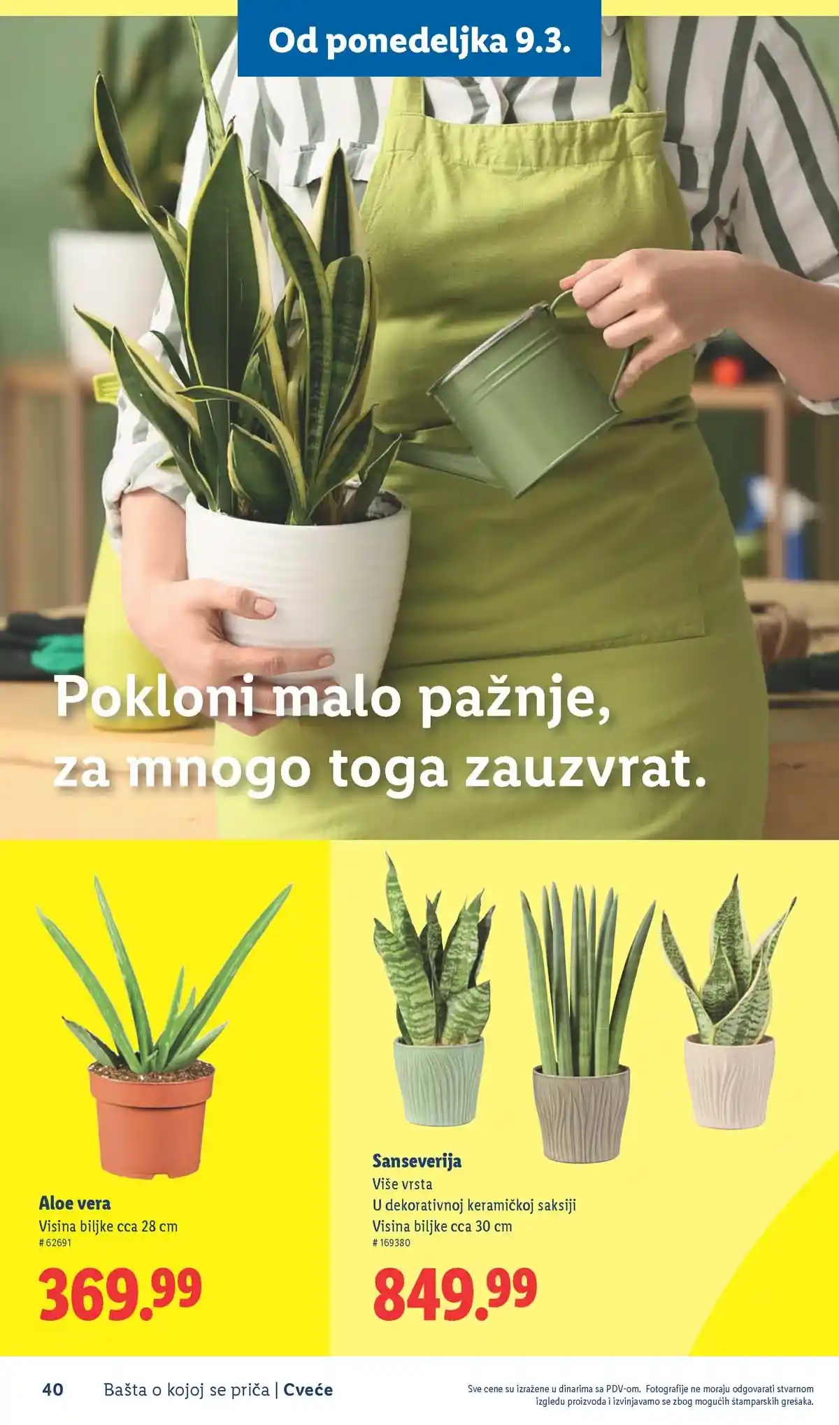Lidl akcija sniženja Bašta o kojoj se priča