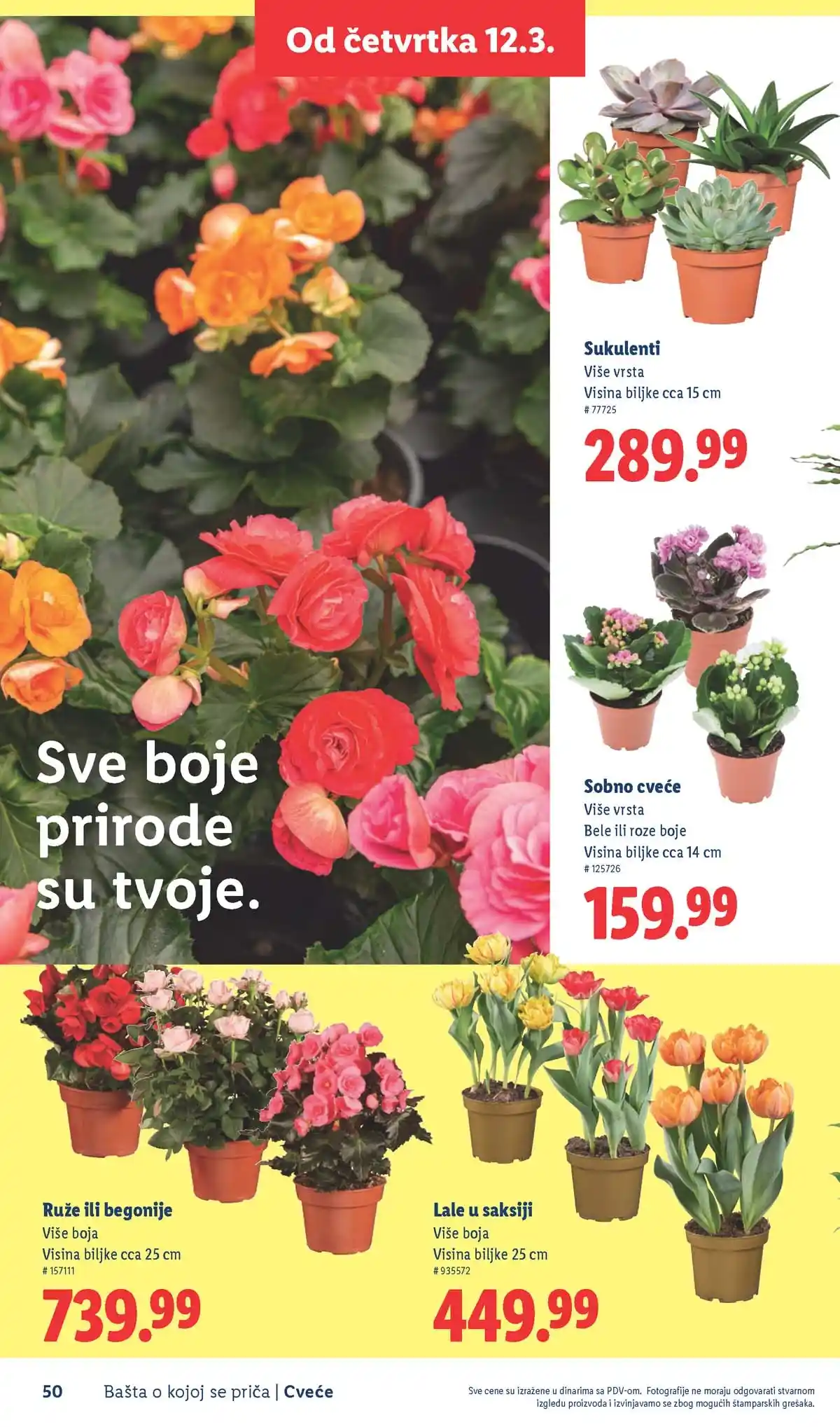 Lidl akcija sniženja Bašta o kojoj se priča