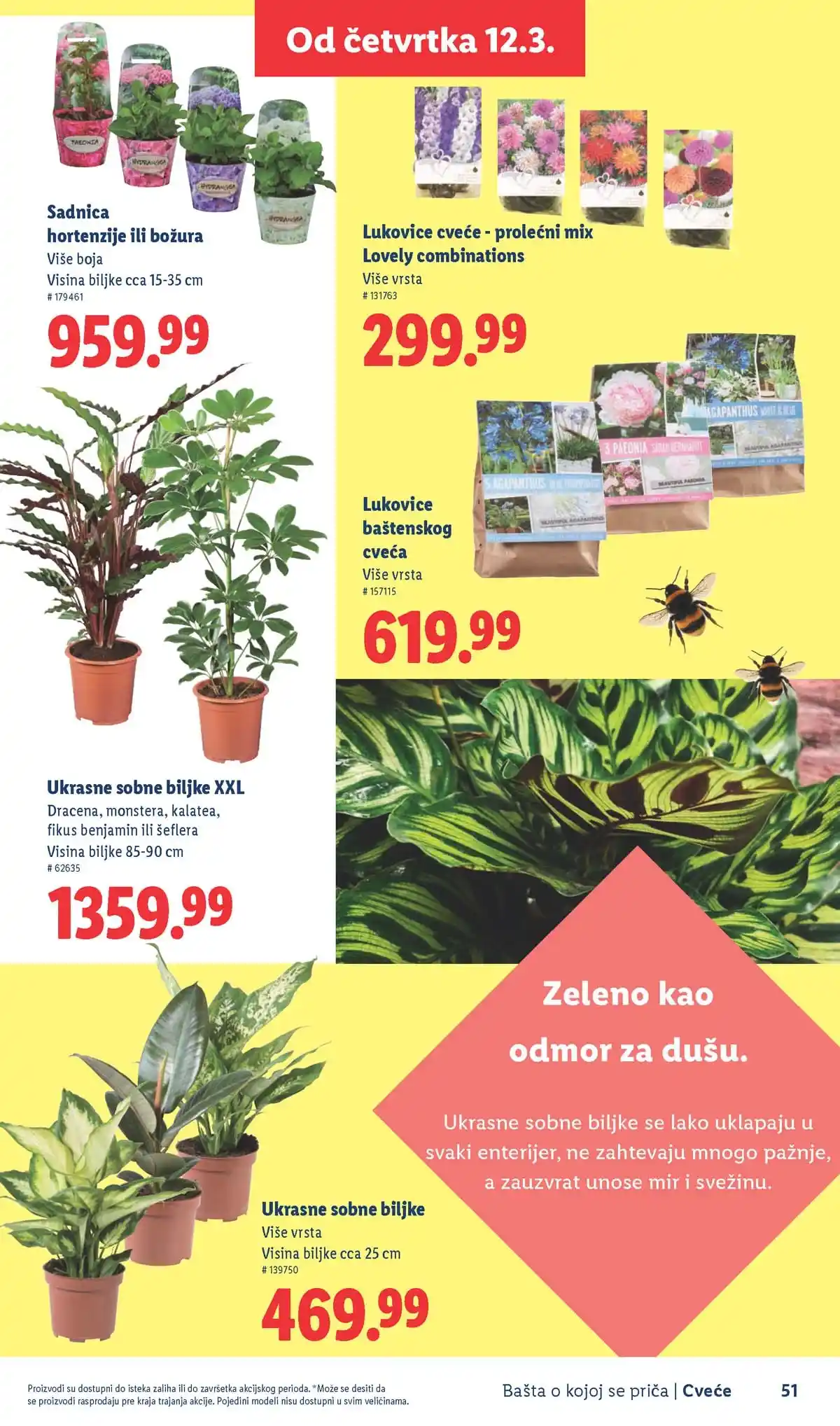 Lidl akcija sniženja Bašta o kojoj se priča