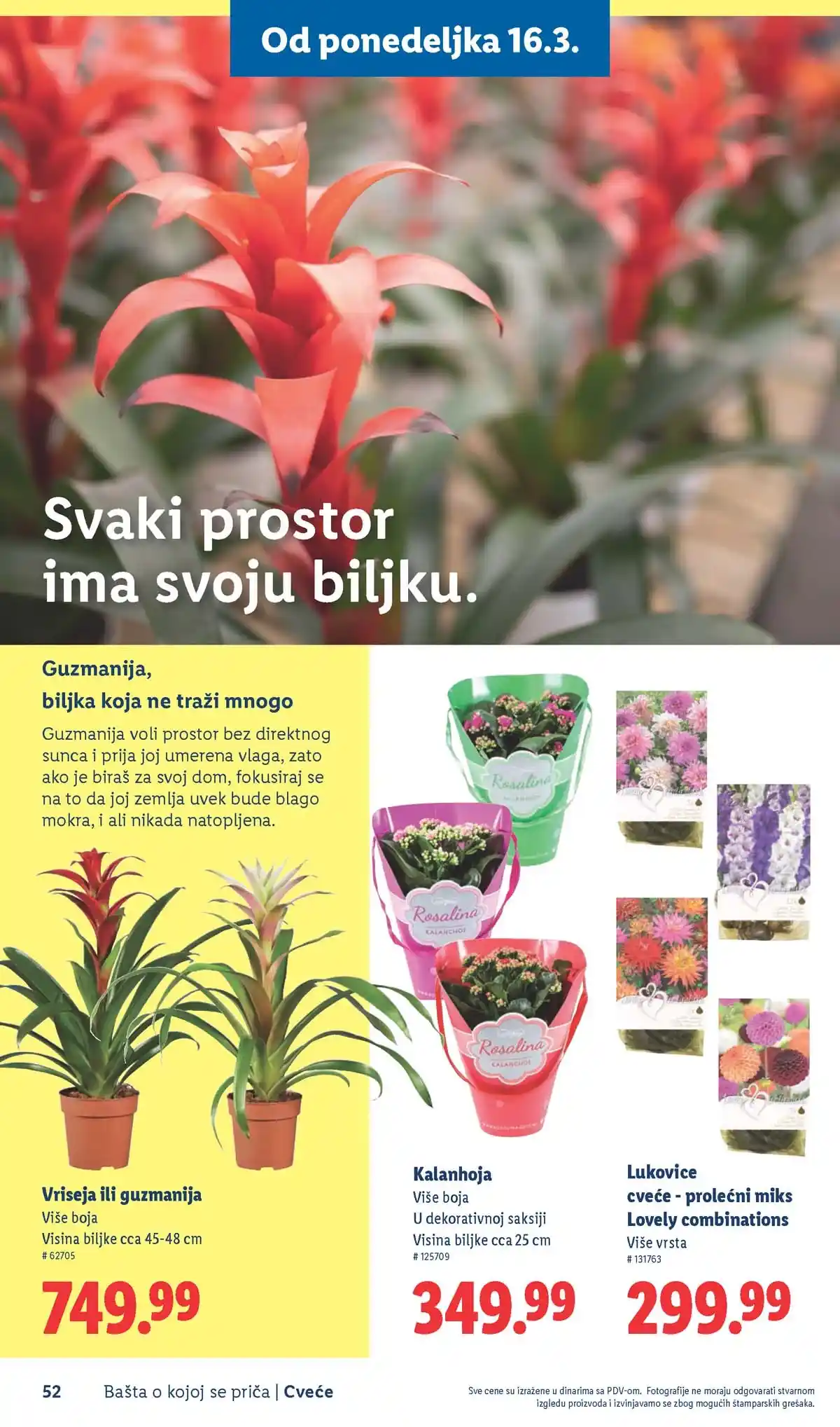 Lidl akcija sniženja Bašta o kojoj se priča