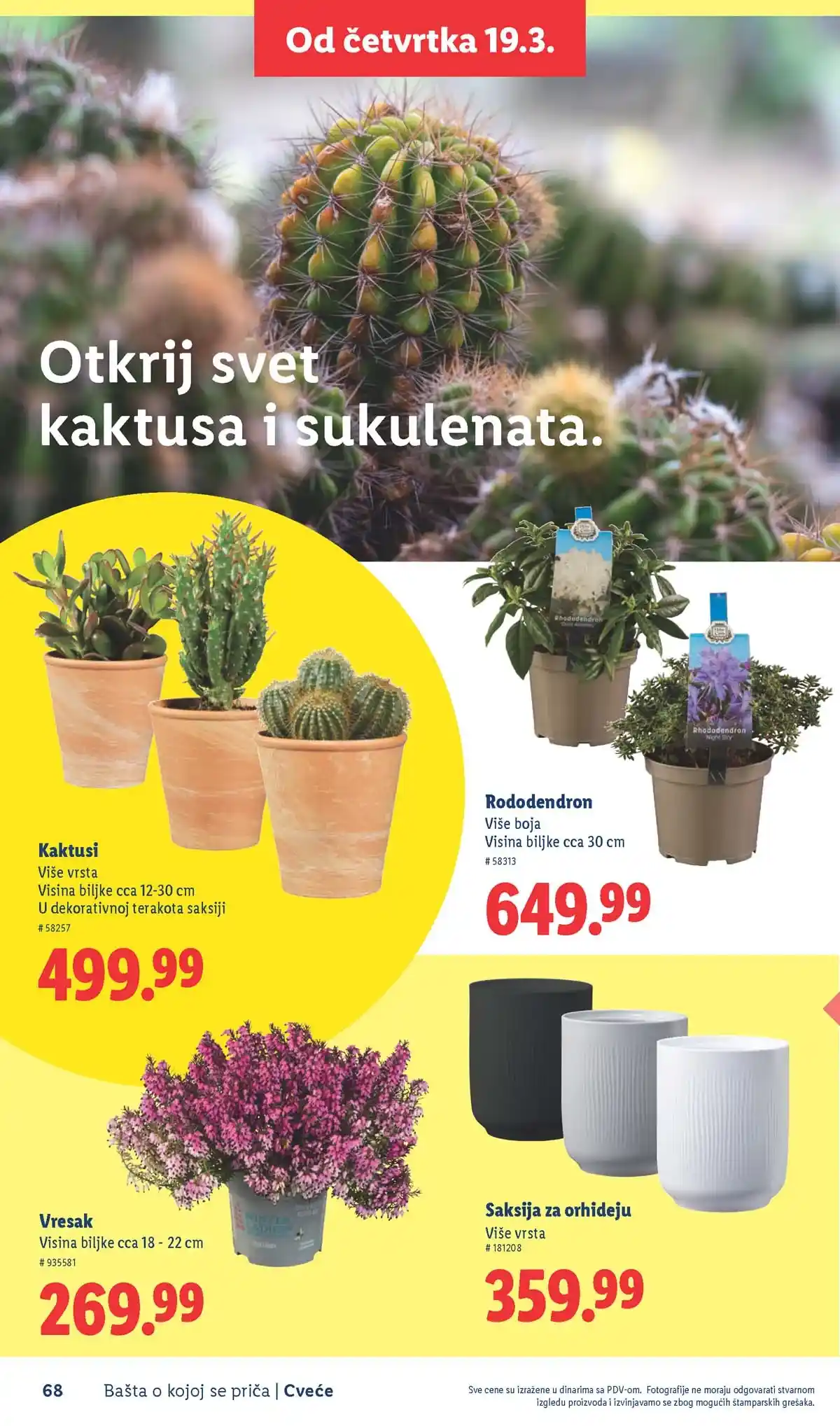 Lidl akcija sniženja Bašta o kojoj se priča