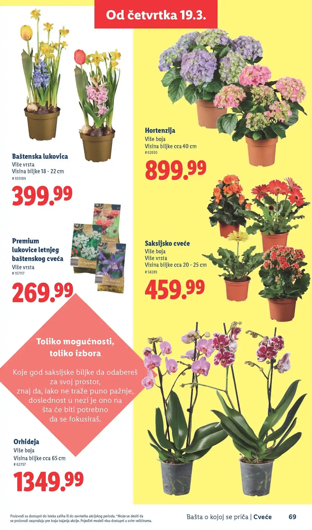 Lidl akcija sniženja Bašta o kojoj se priča