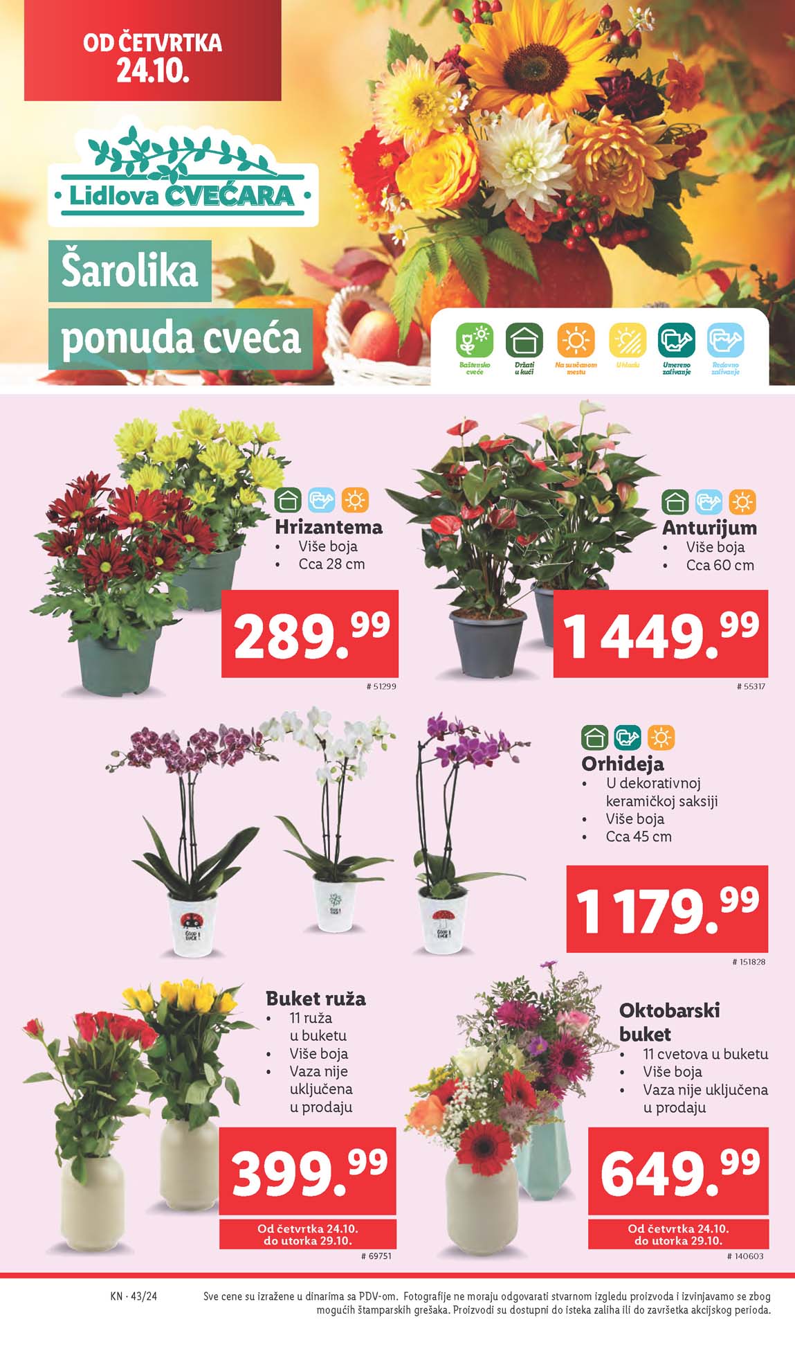 LIDL SNIZENJE SNIZENJA  KATALOG AKCIJA