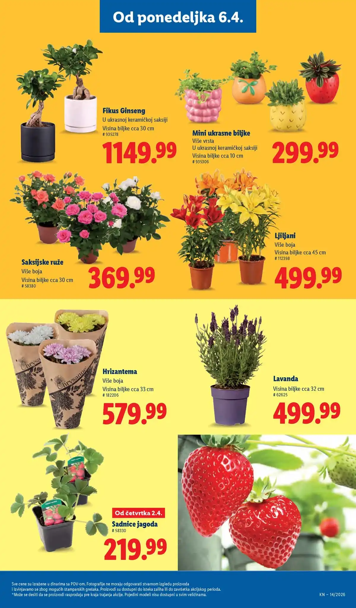 Lidl katalog akcija strana 63