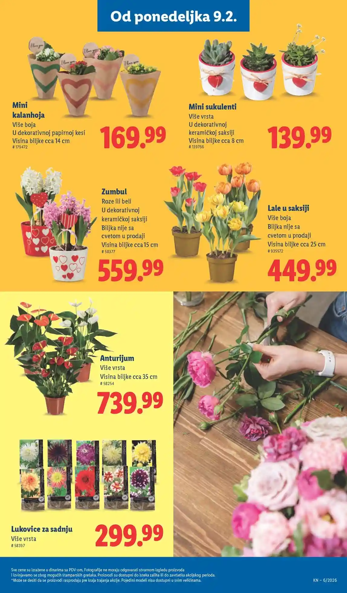 Lidl akcija sniženja