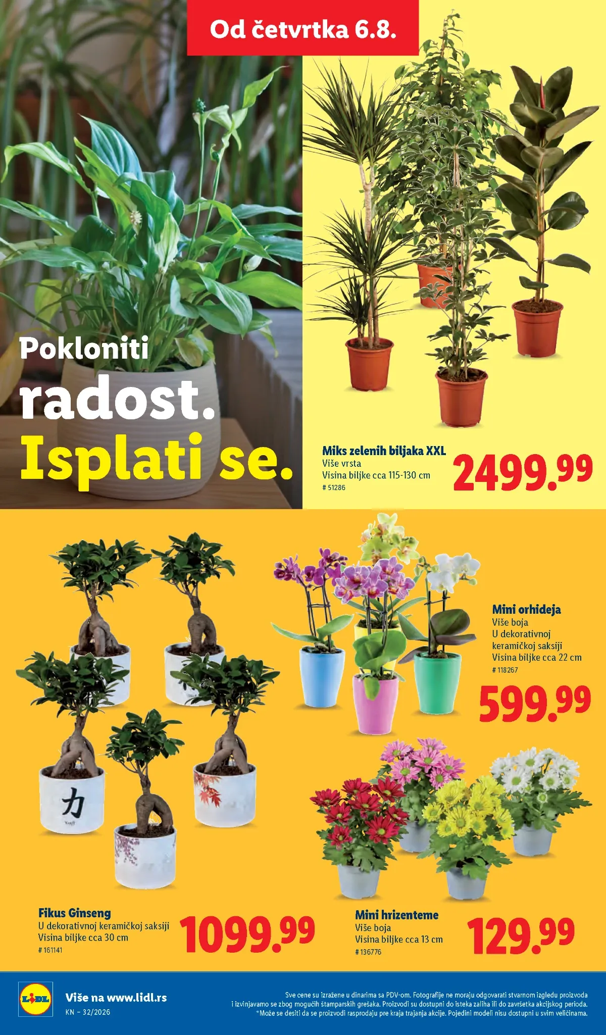 Obuća u Lidl katalogu do 12.08.2026.