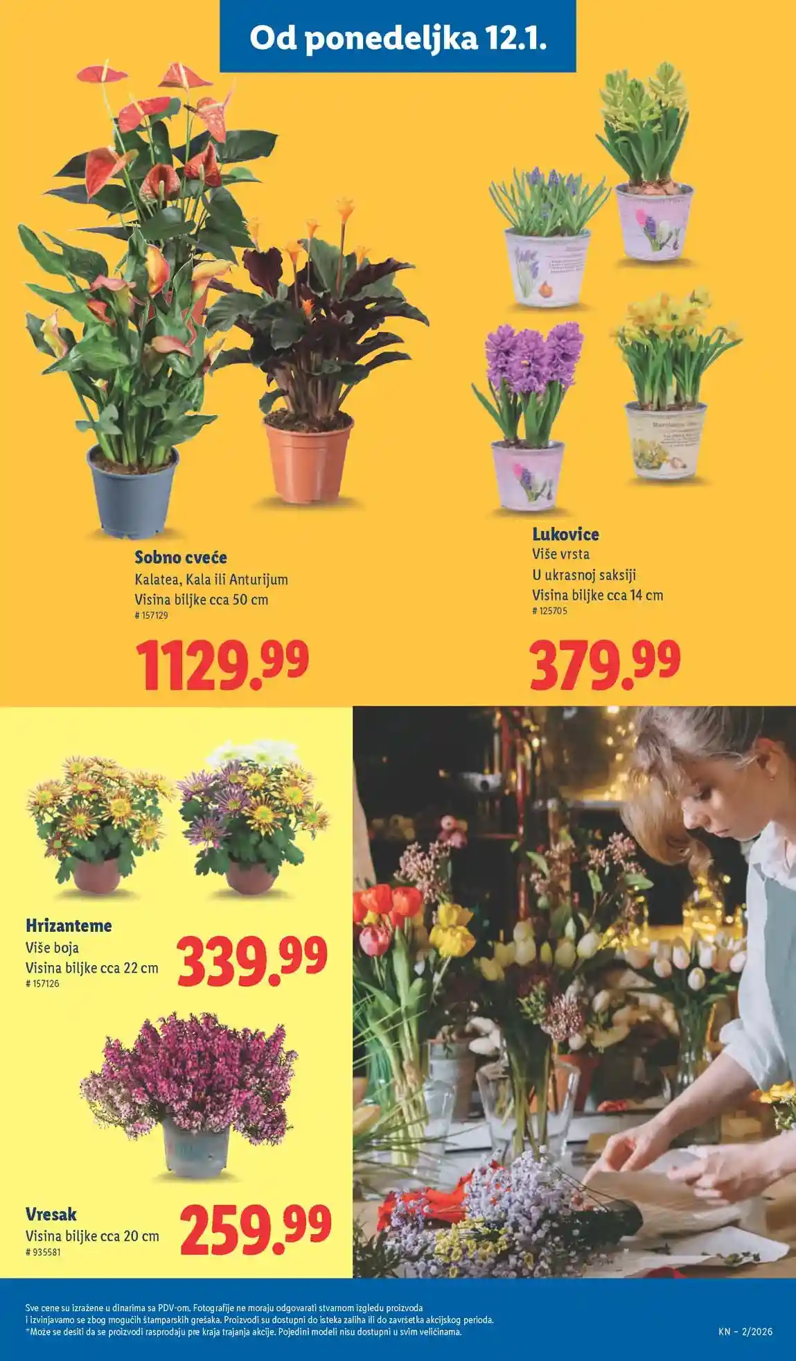 Lidl katalog sniženja Lidl akcija sniženja
