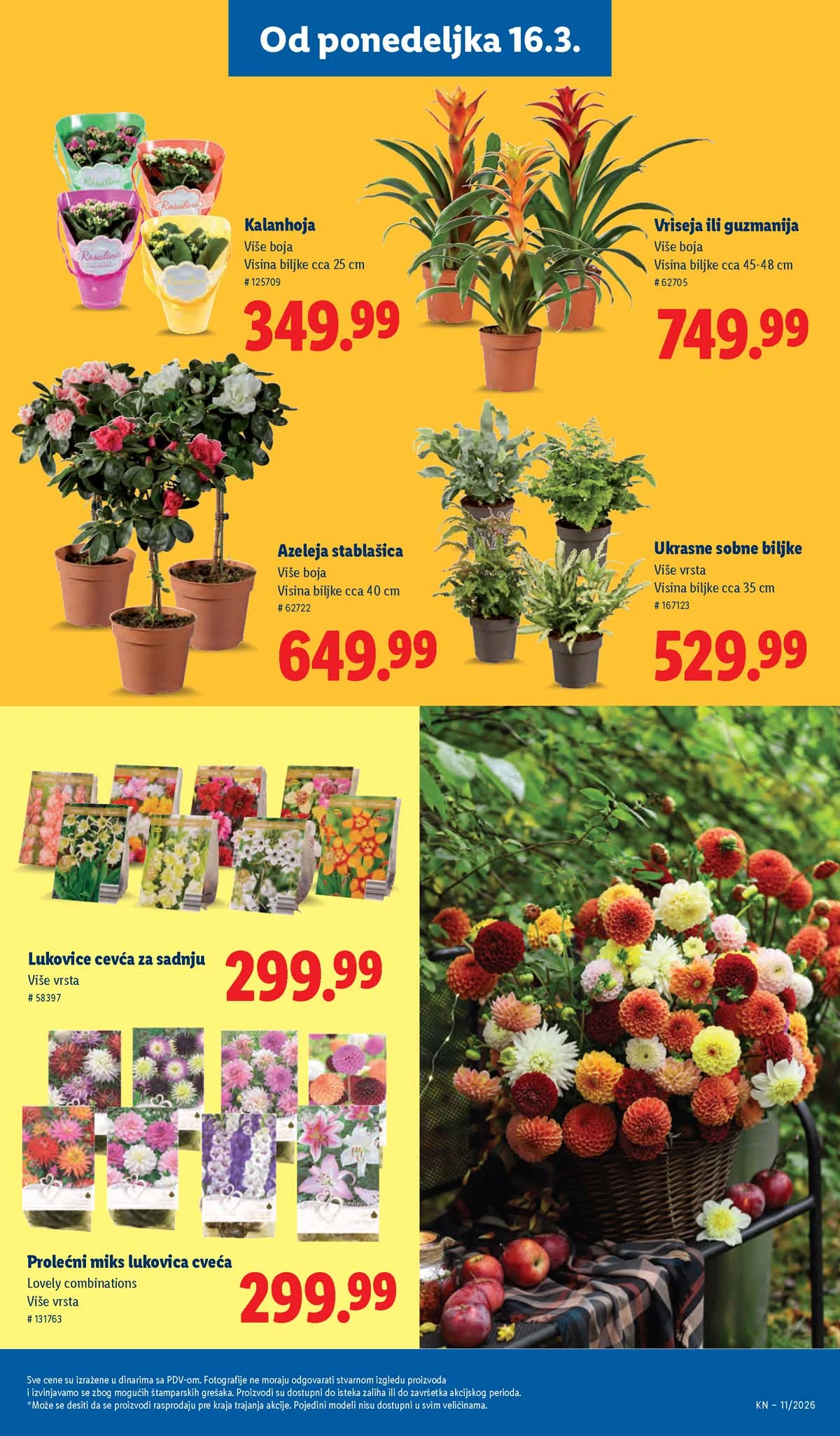 Katalog Lidl sniženja Katalozi Lidl kataloška ponuda