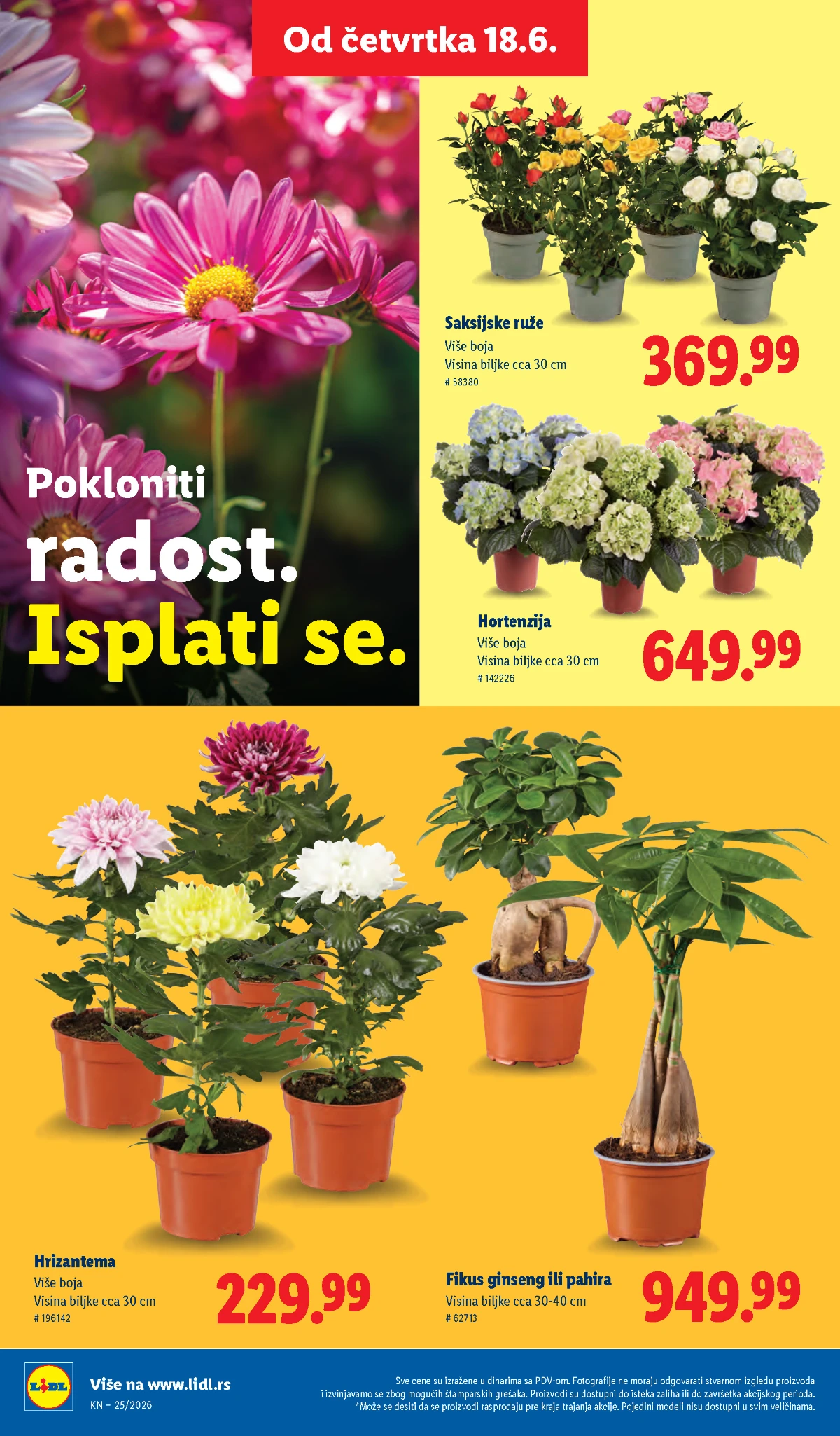 Lidl biljke i cveće od 22.06.2026