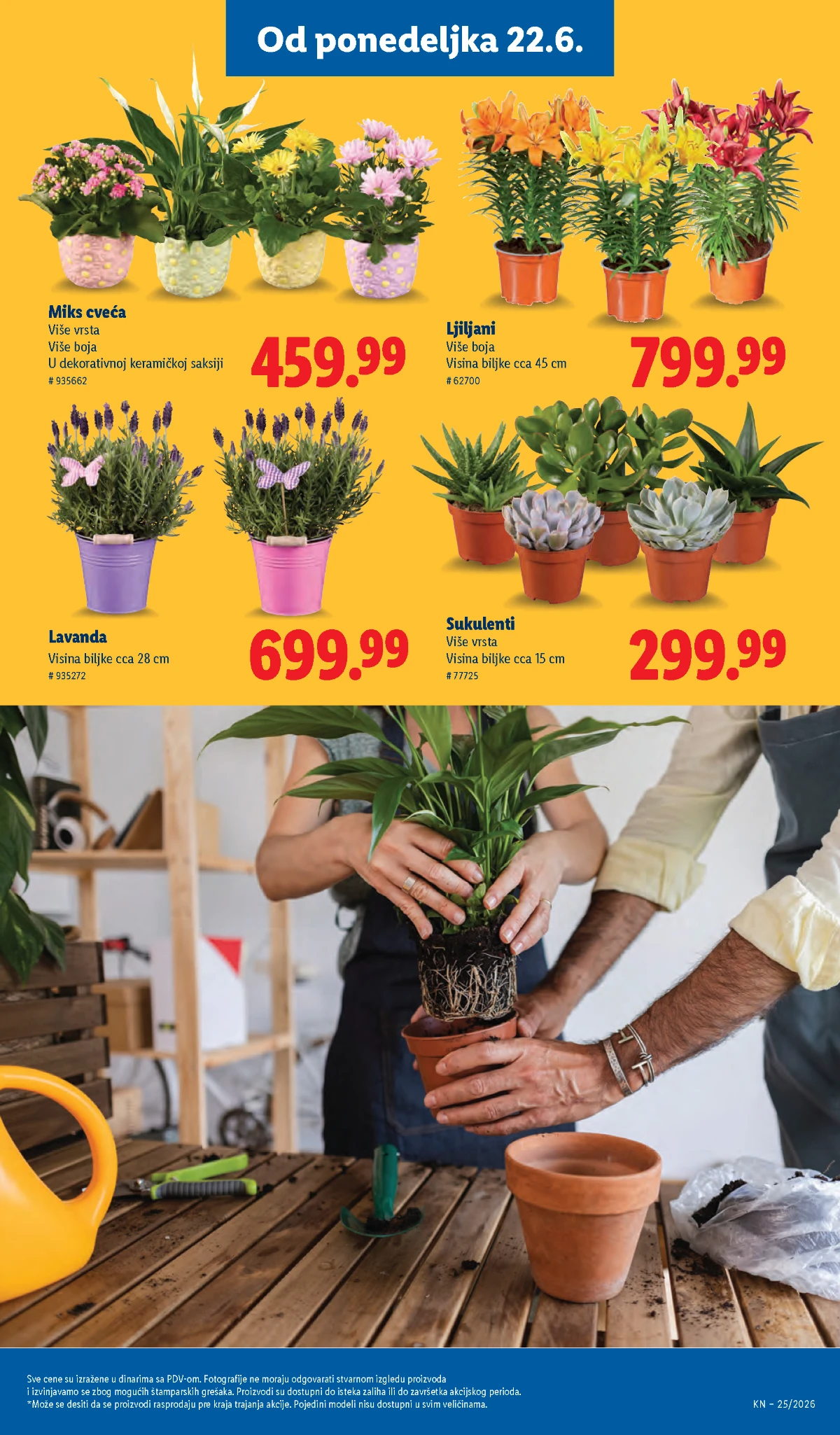 Lidl buketi cveća i pokloni za posebne prilike