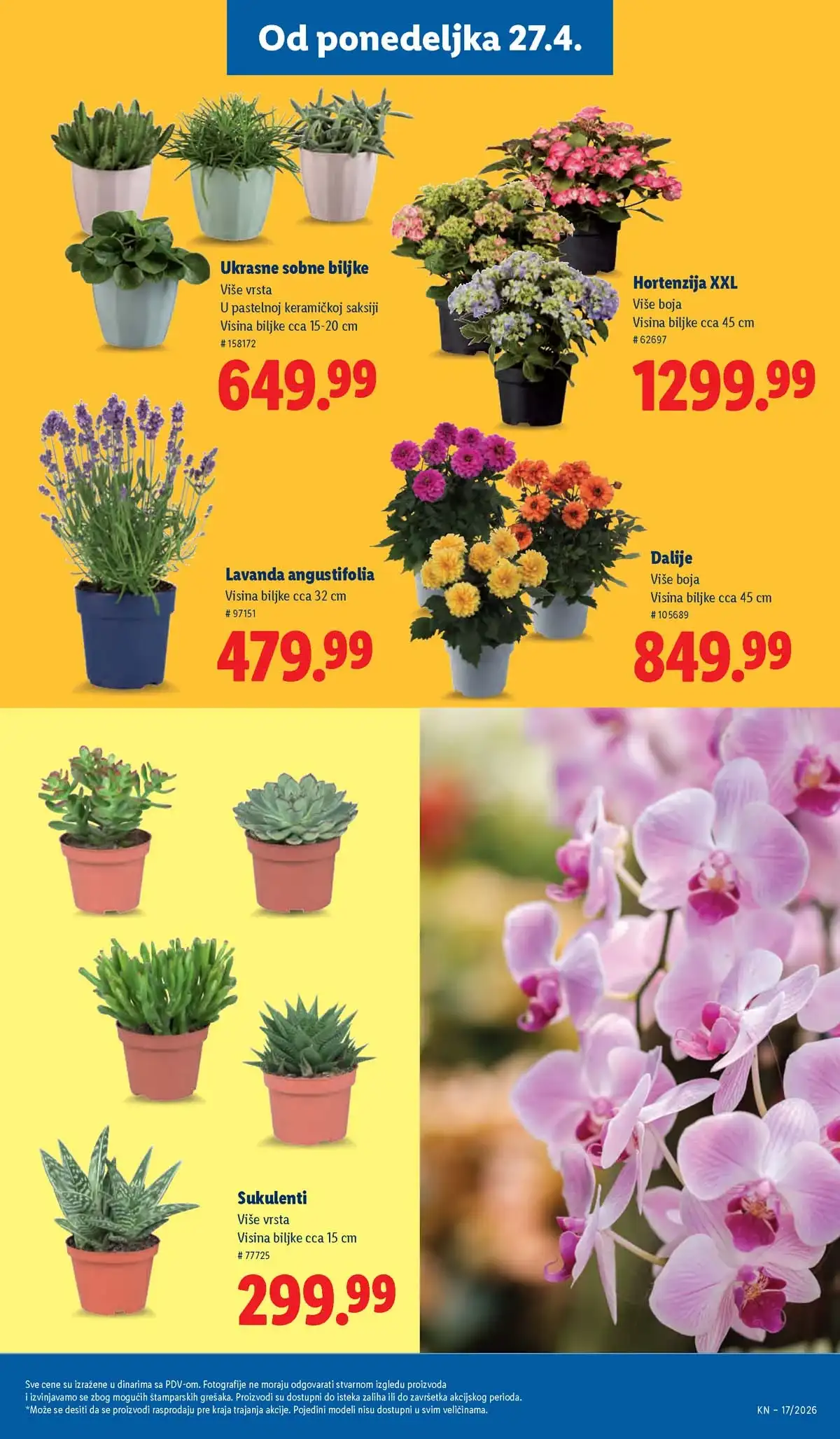 Lidl katalog akcija strana 69