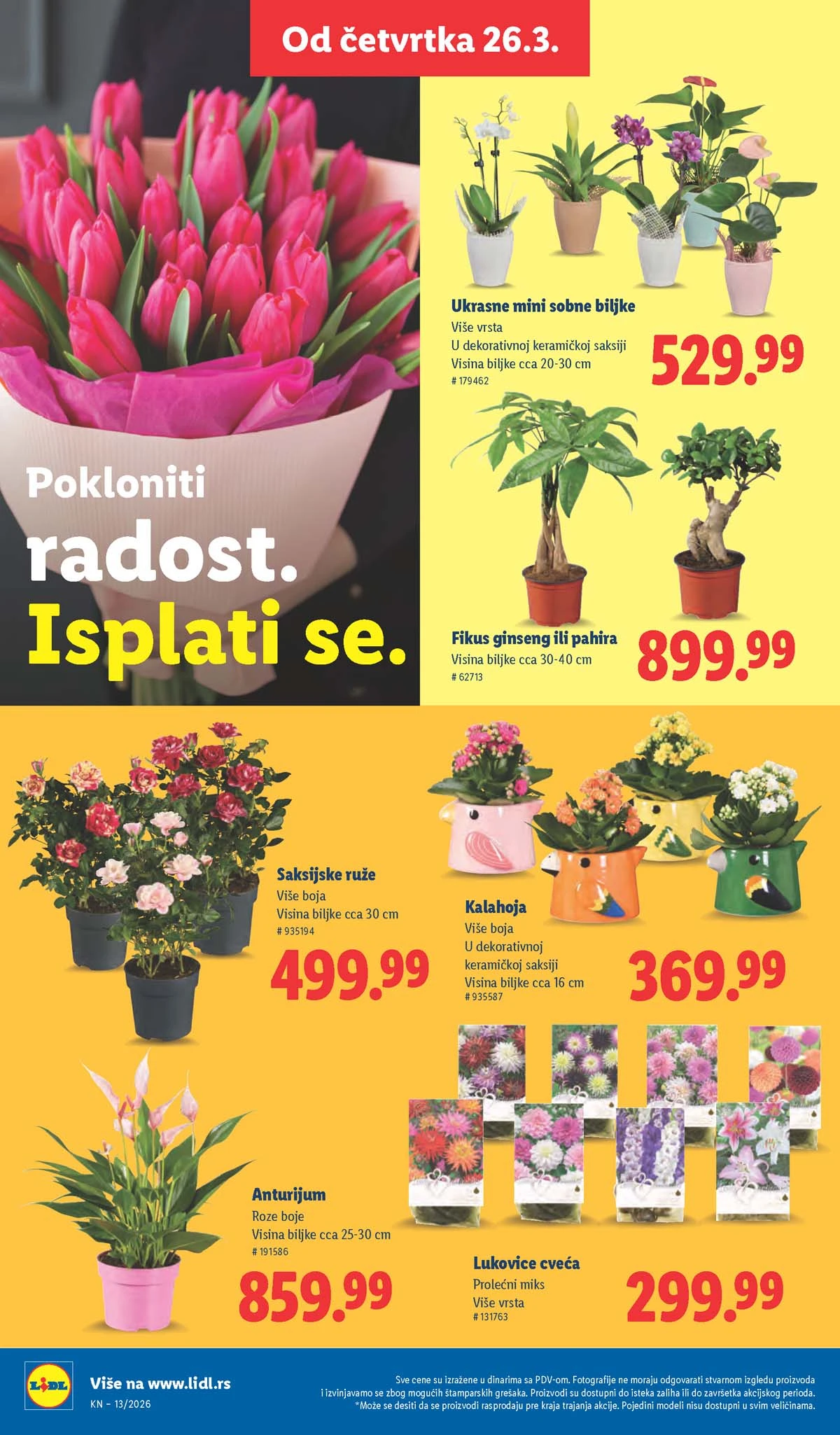 Lidl katalog akcija strana 54