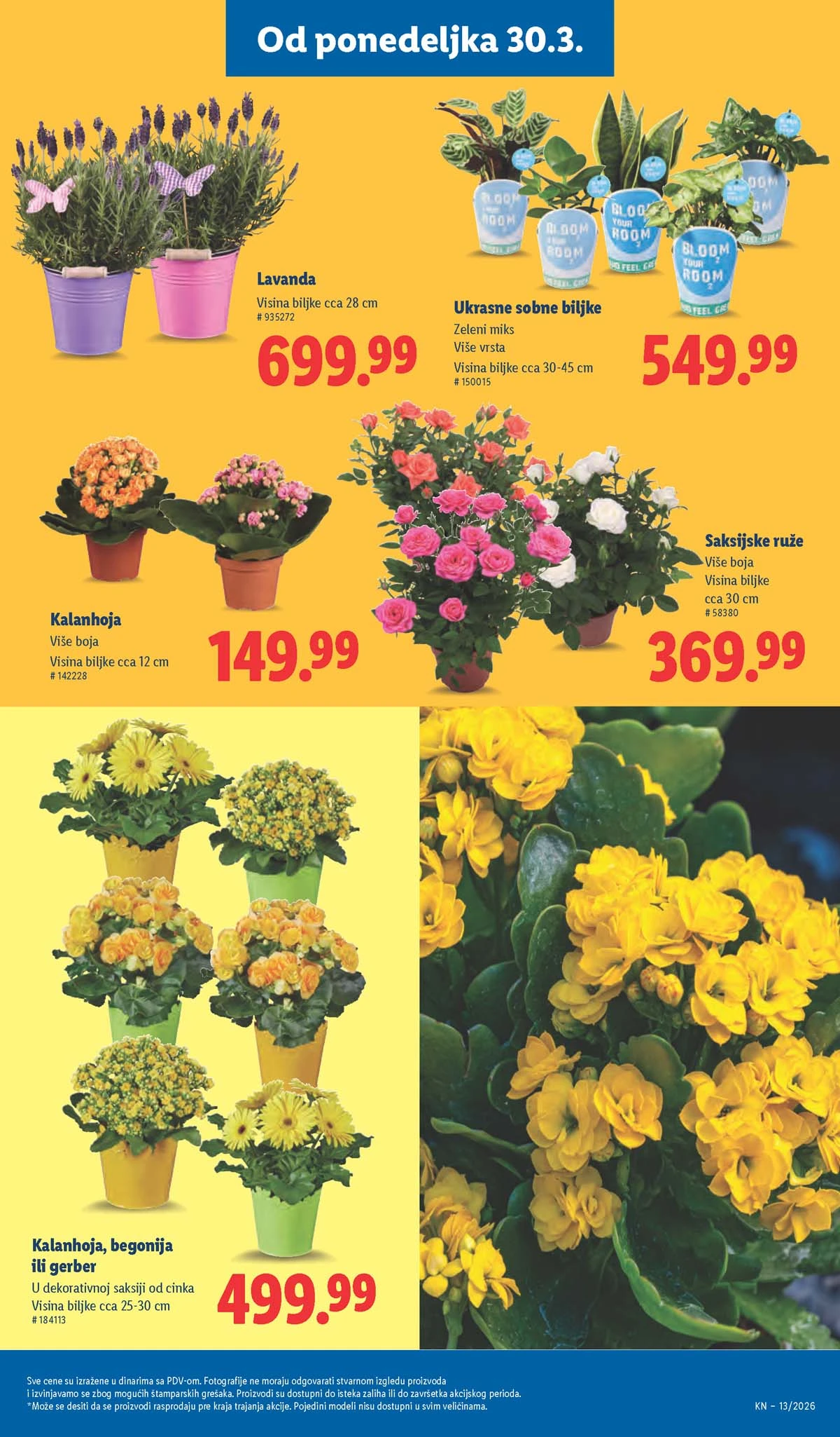 Lidl katalog akcija strana 55