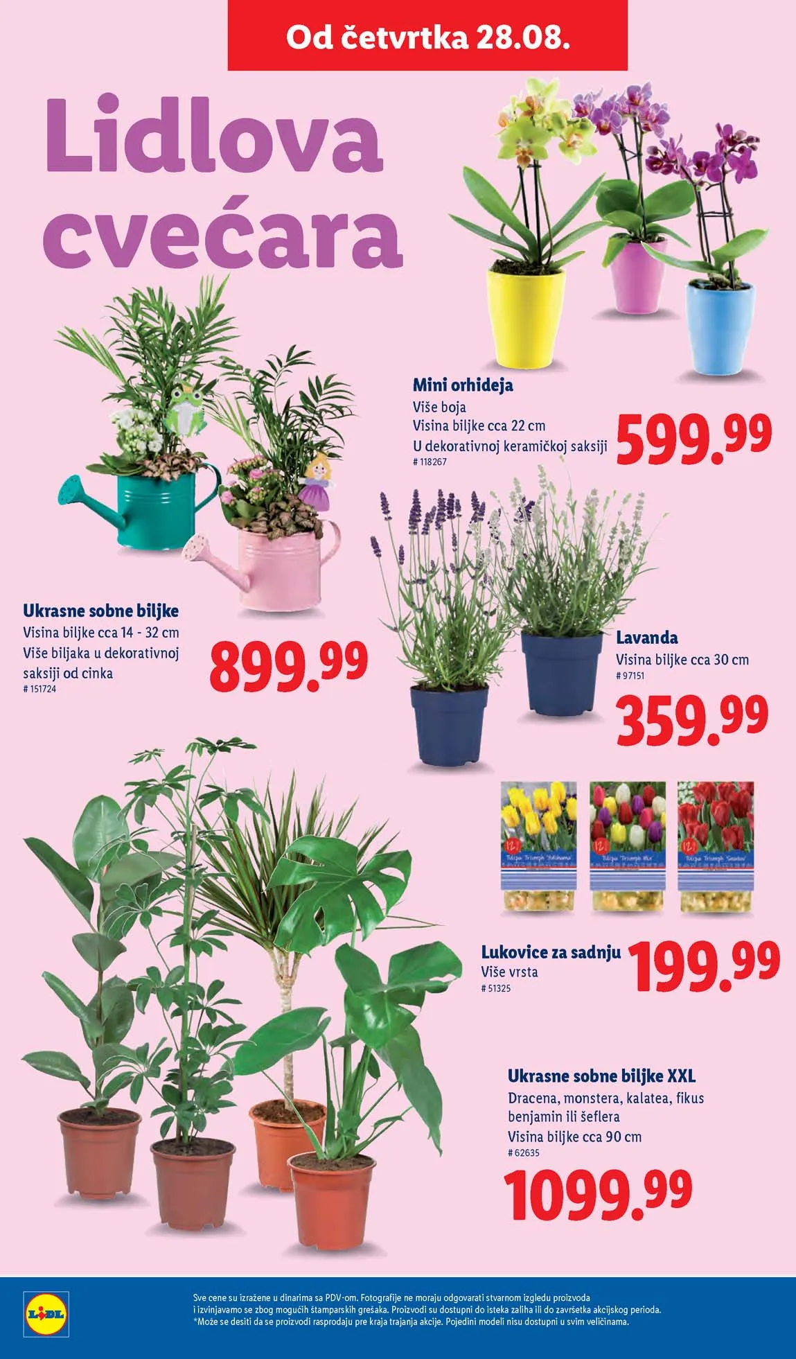 Katalozi Lidl kataloška ponuda