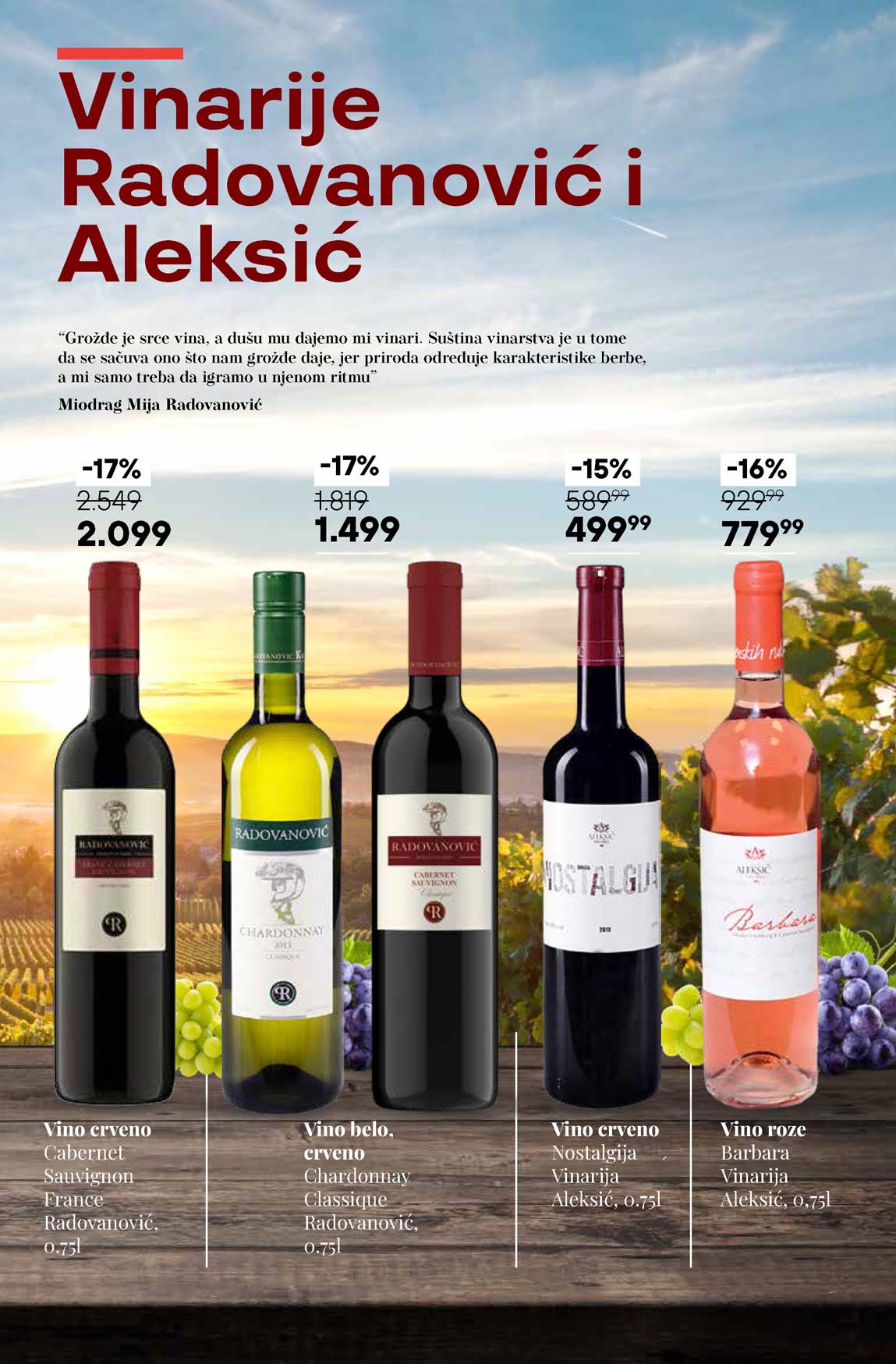 Katalog vina maxi sniženja