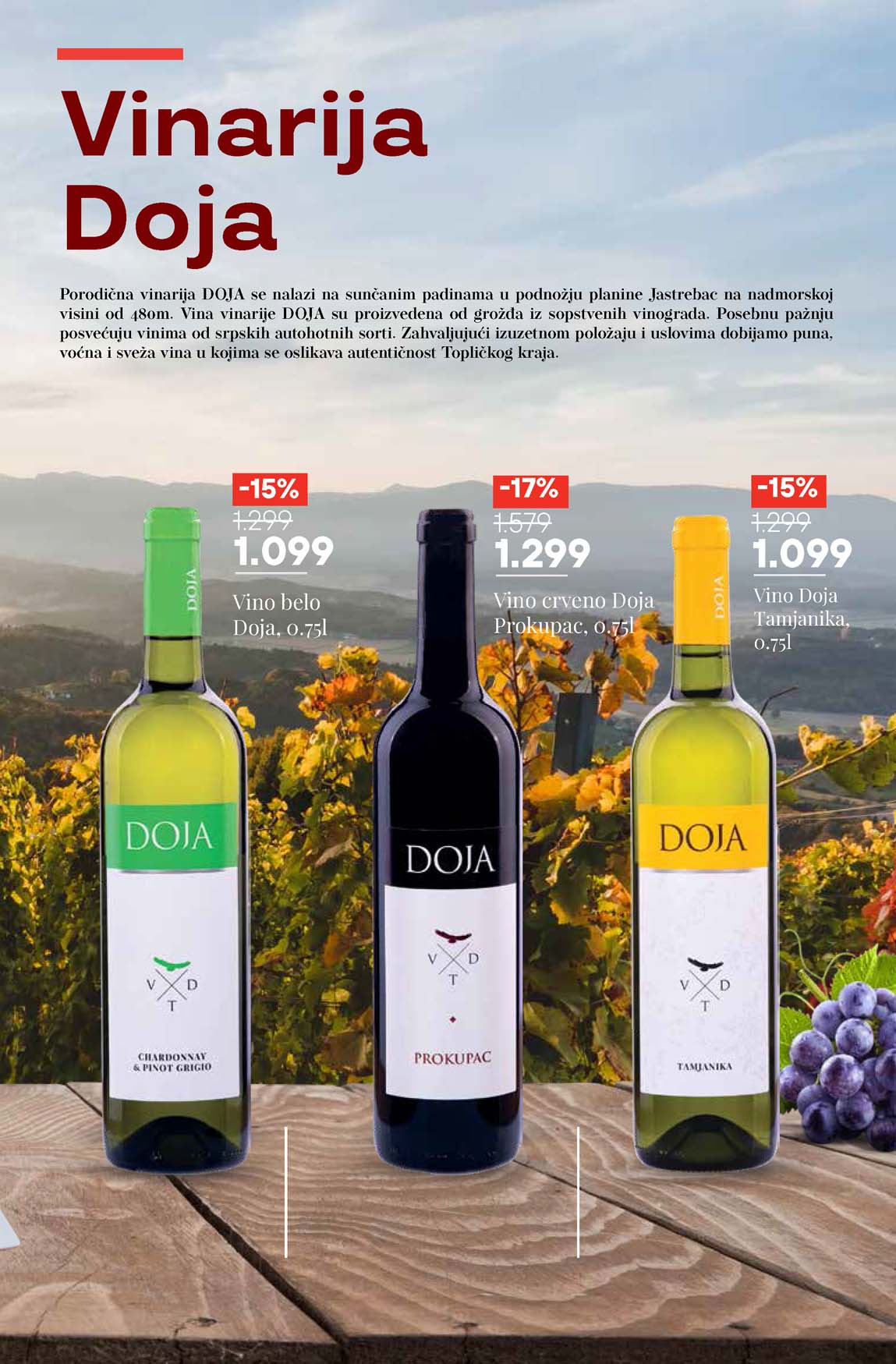 Katalog vina maxi sniženja