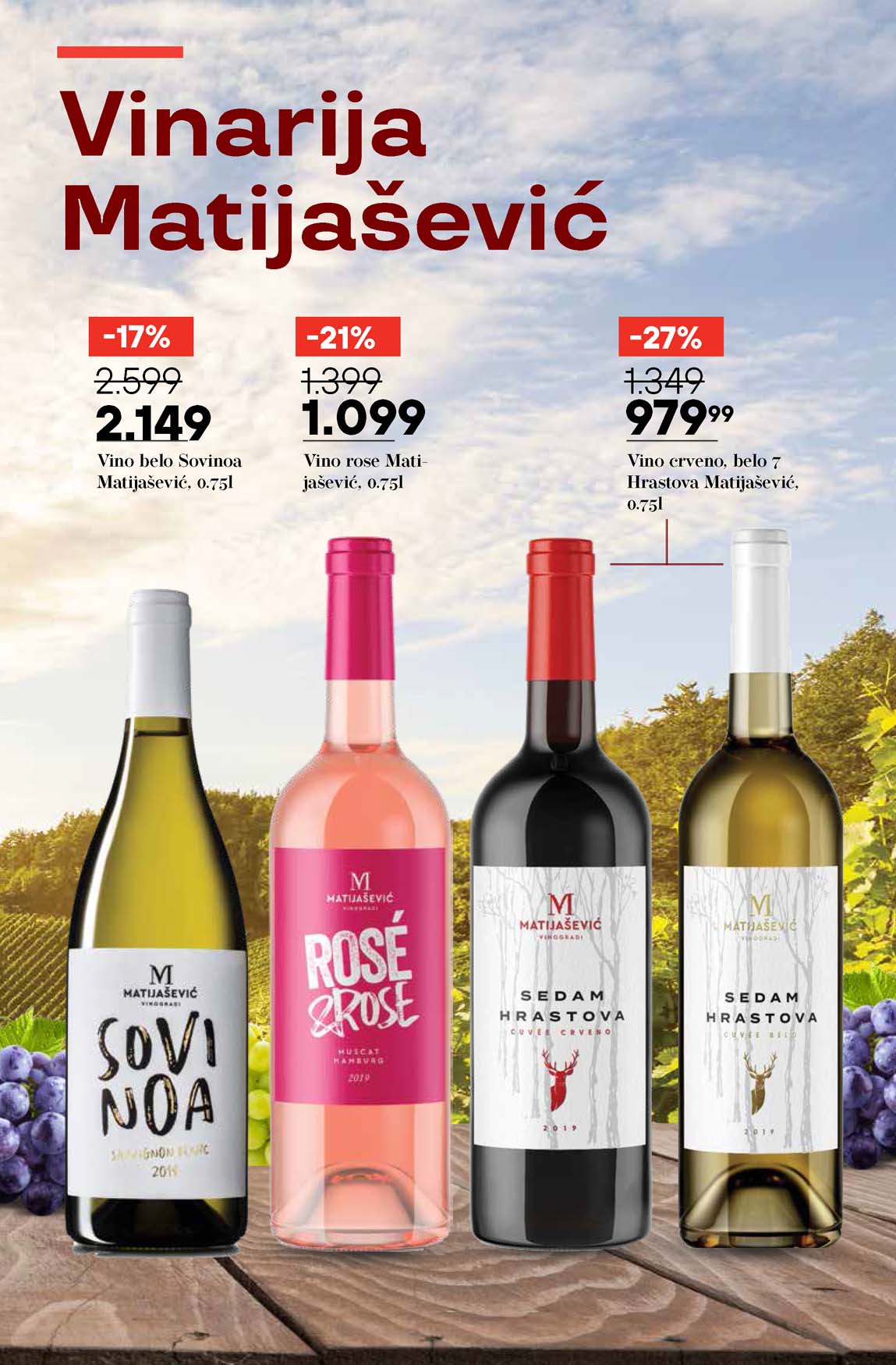 Katalog vina maxi sniženja