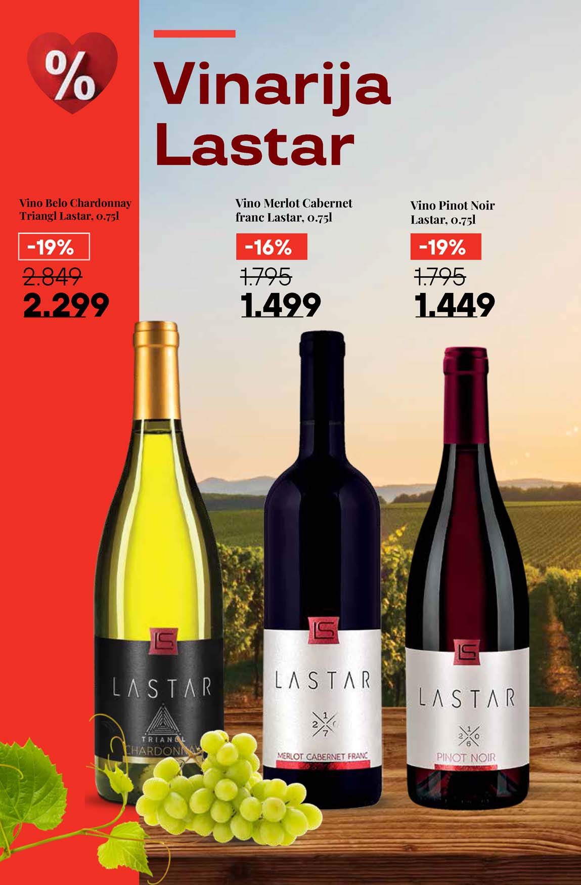 Katalog vina maxi sniženja