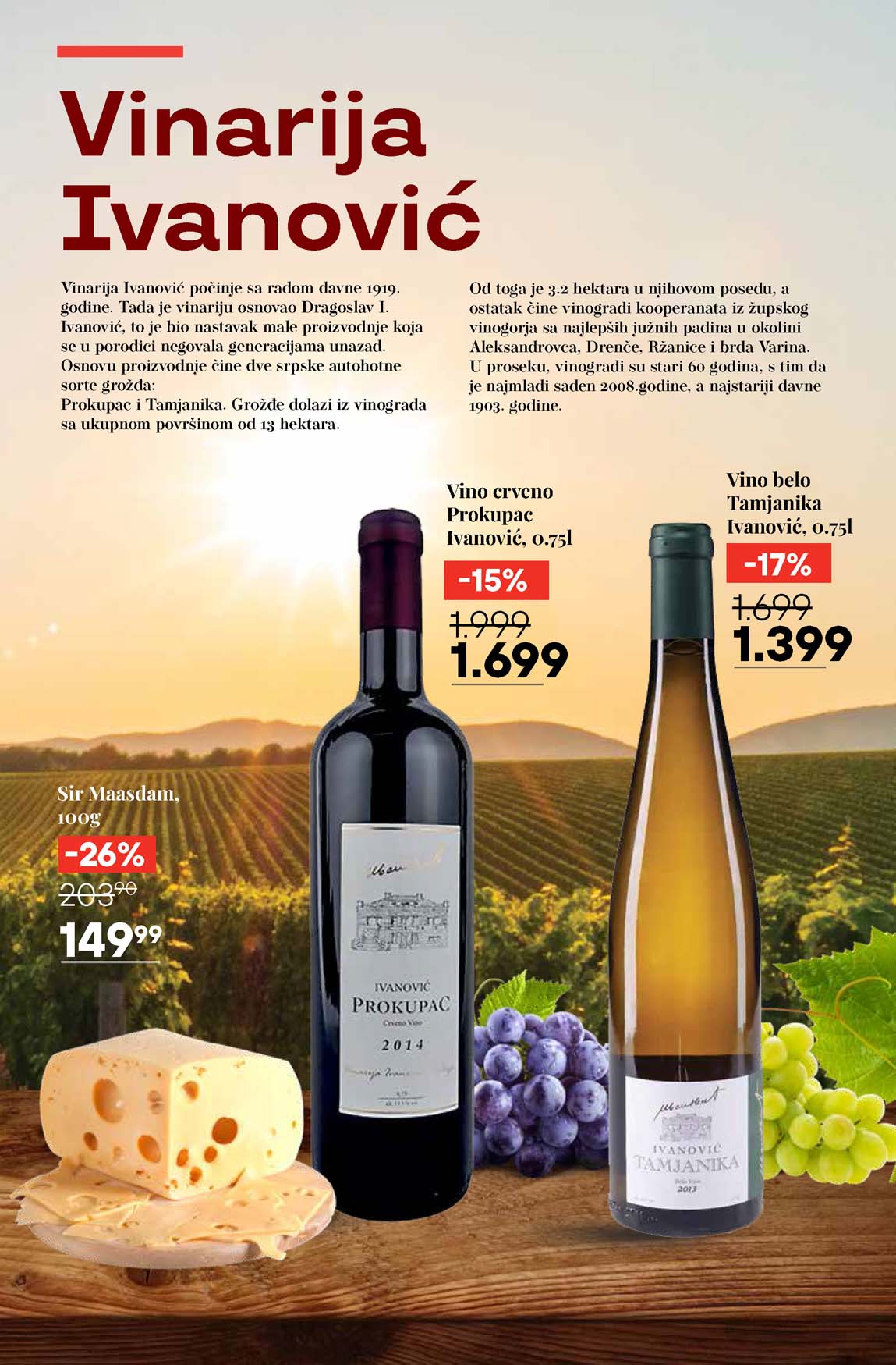 Katalog vina maxi sniženja