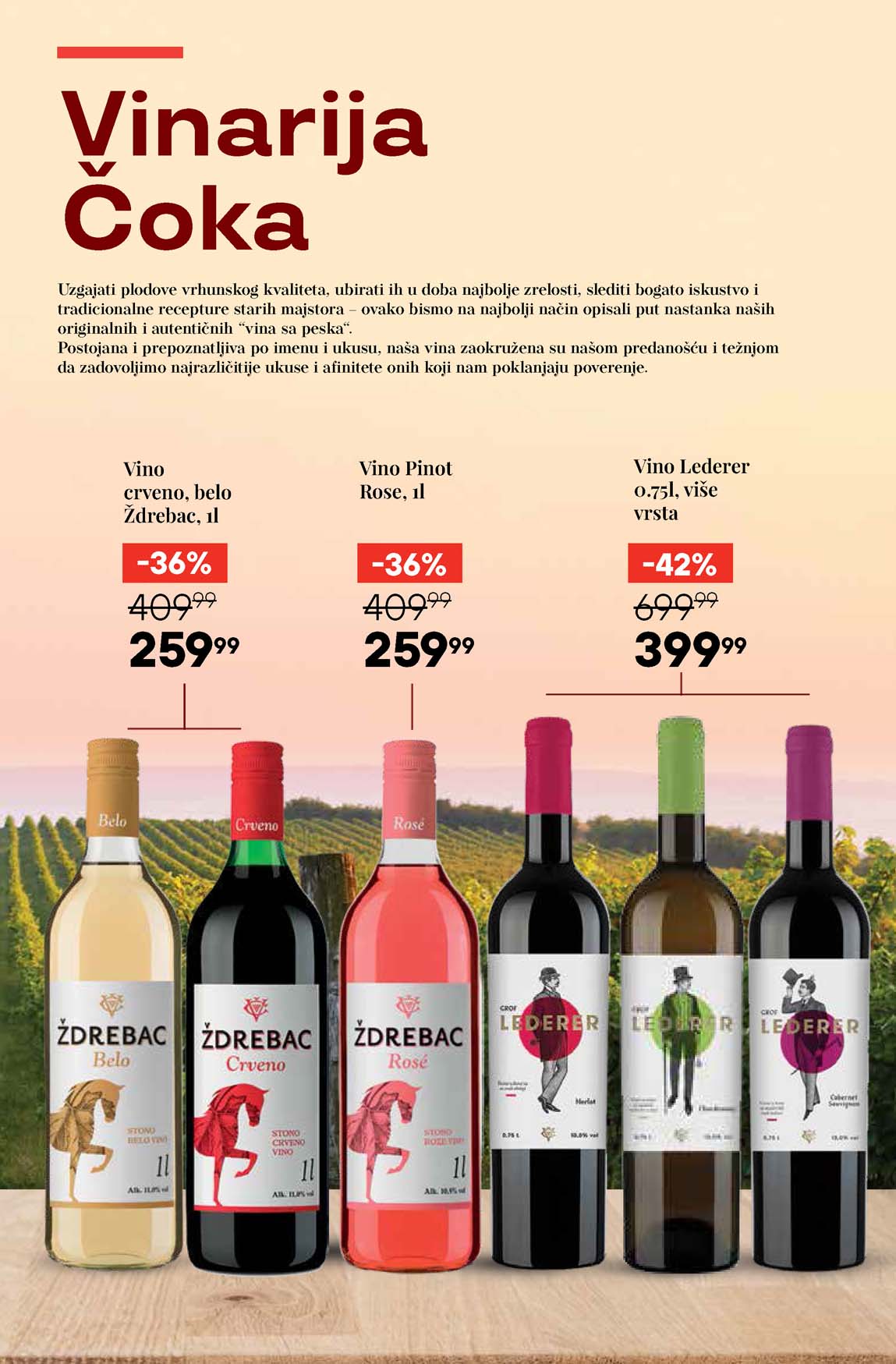 Katalog vina maxi sniženja