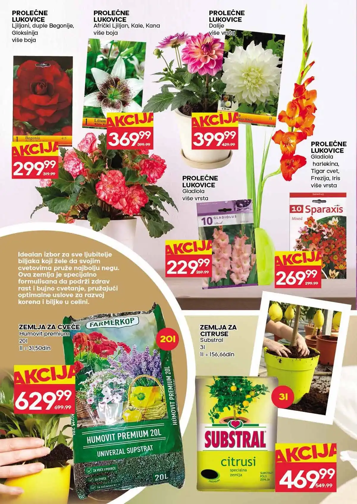 Mercator katalog akcija do 4. mart 2026 strana 30 higijena i kućne potrepštine Srbija