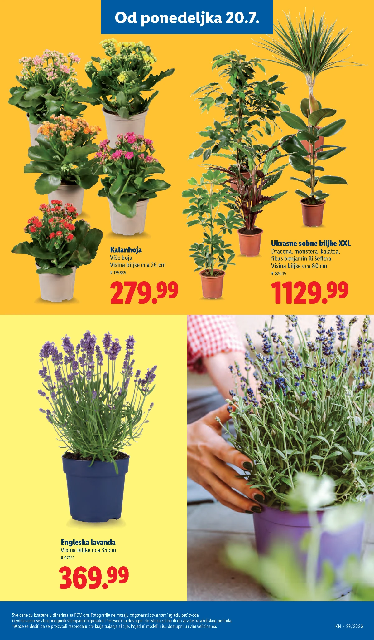 Lidl katalog strana 77 – Lidl proizvodi po akcijskim cenama