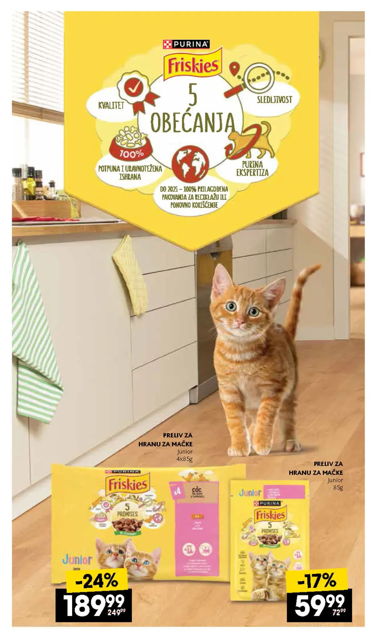 IDEA, Roda i Mercator katalog – Friskies Junior hrana za mačke, strana 17