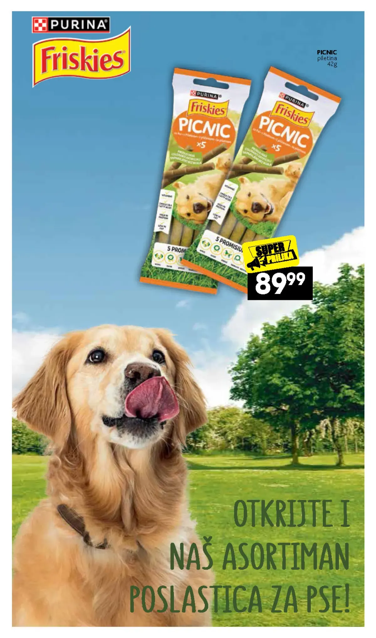 IDEA, Roda i Mercator katalog – Friskies Picnic poslastice za pse, strana 29