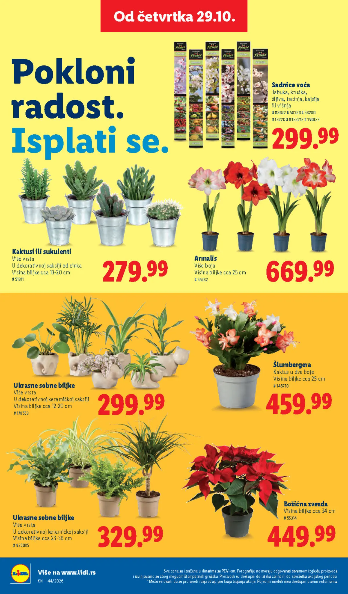 Lidl katalog – strana 72: sadnice voća i ponuda biljaka