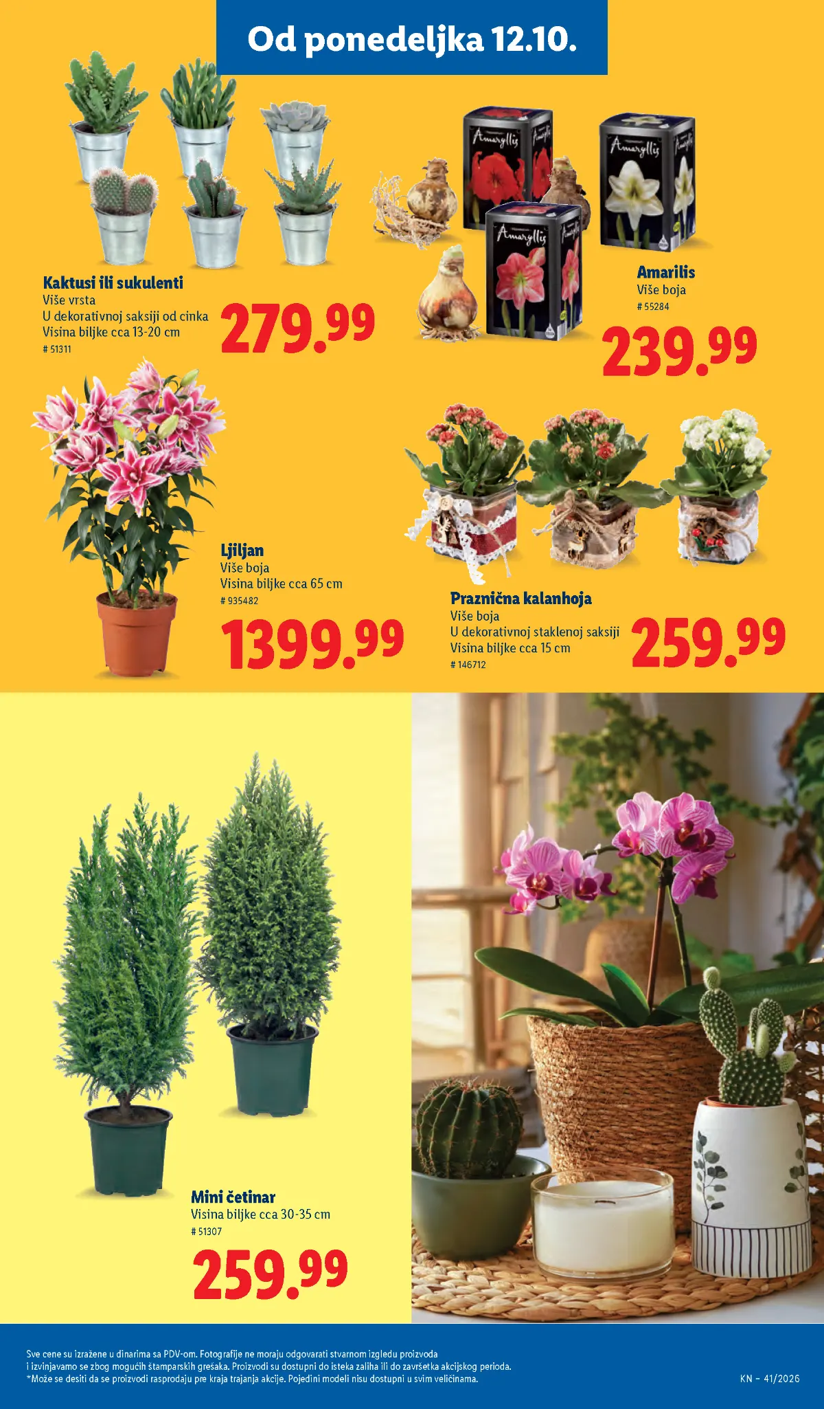 LIDL katalog 08–14.10.2026. – strana 73