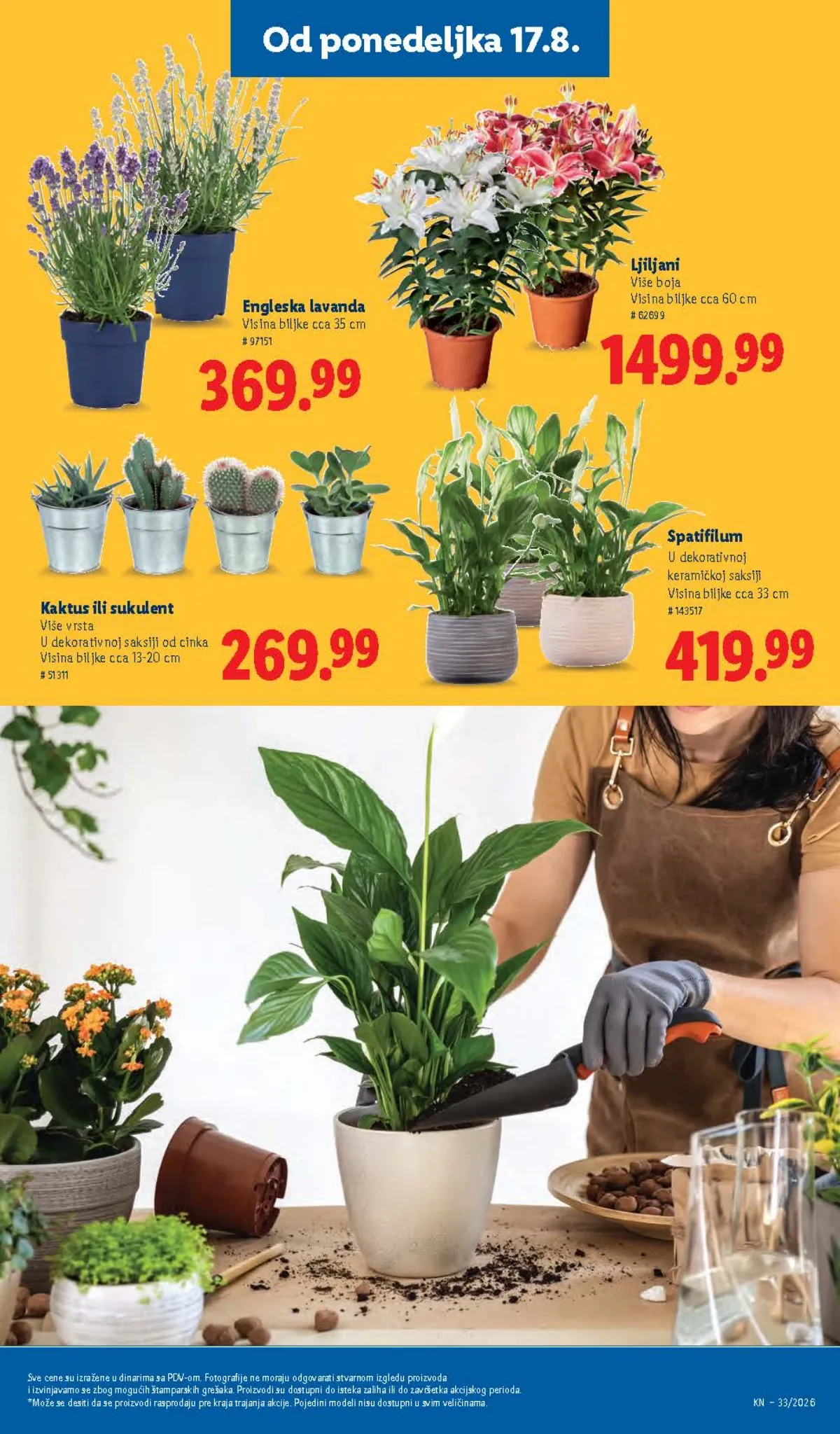 Lidl katalog do 19.08.2026. – akcijska ponuda, strana 75