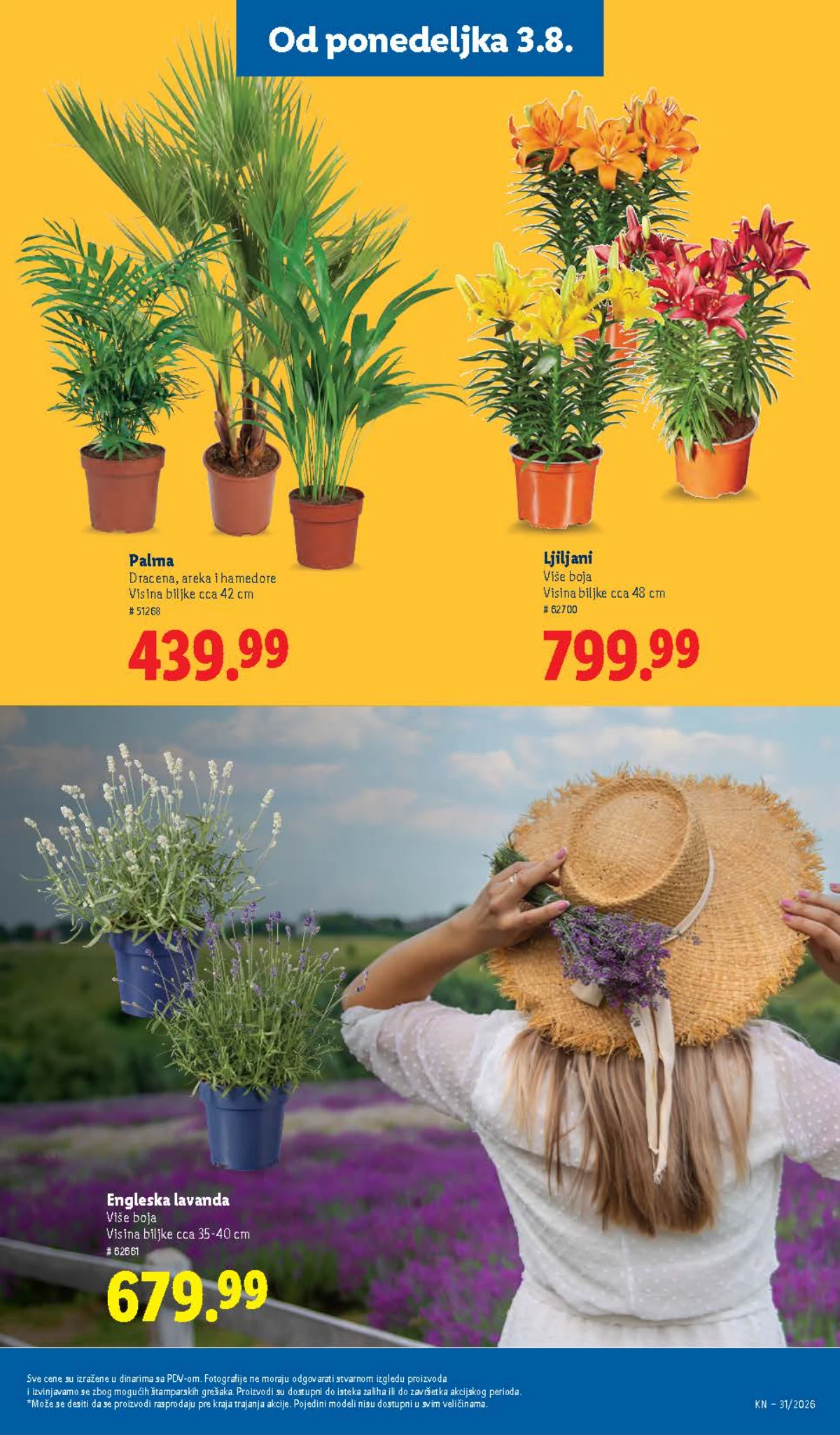Lidl katalog do 05.08.2026. – akcijske ponude, strana 71
