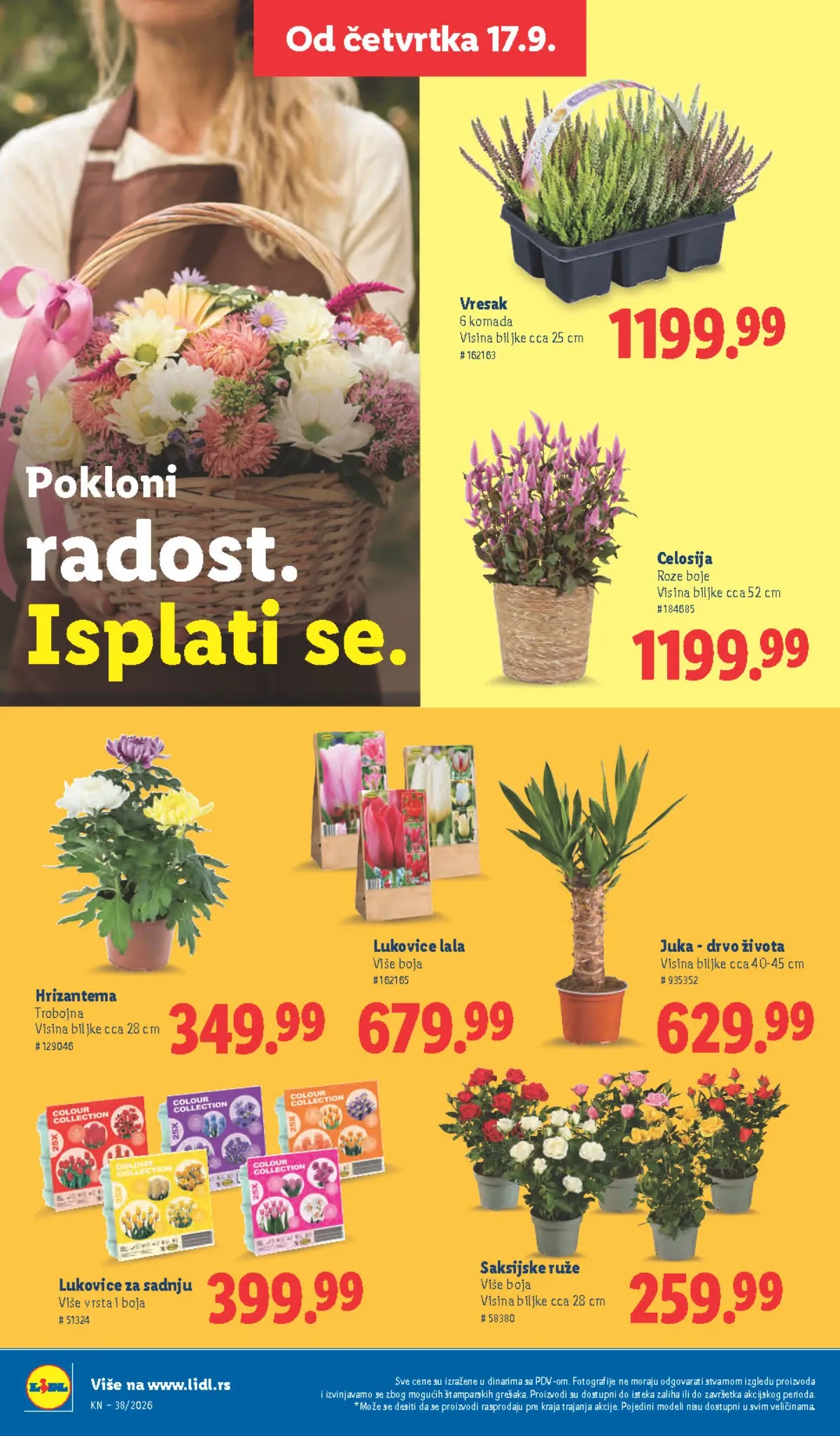 LIDL katalog do 23.09.2026. – cveće i biljke, strana 58