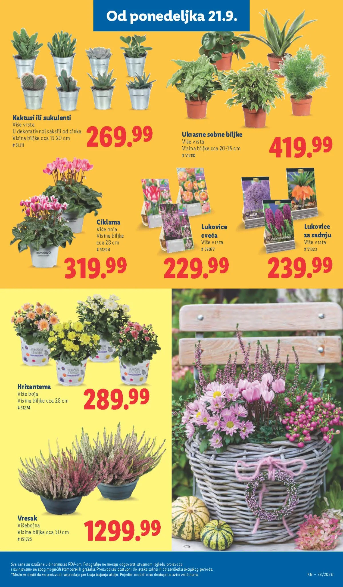 LIDL katalog do 23.09.2026. – biljke i cveće, strana 59