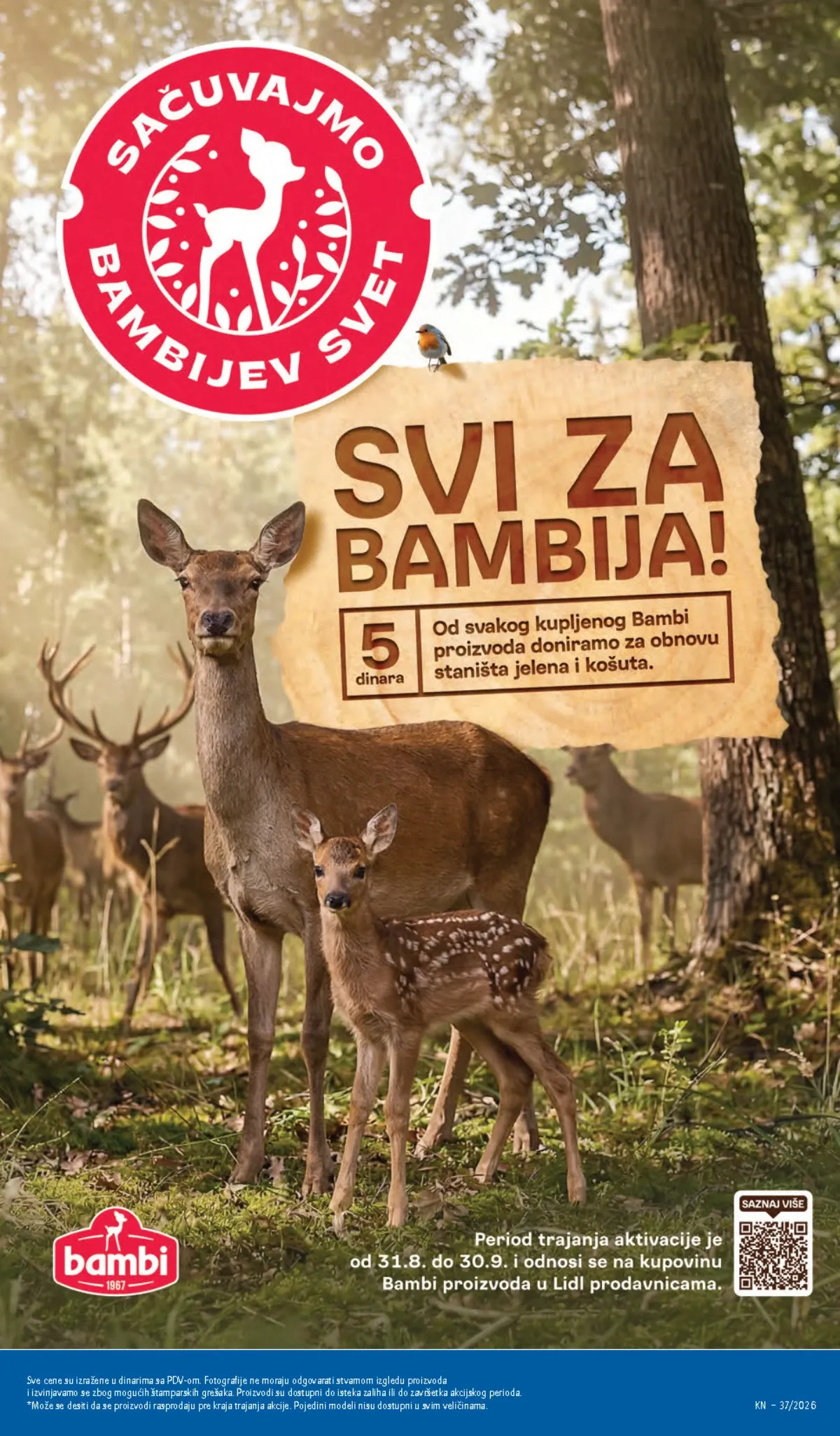 LIDL katalog od 10.09. do 16.09.2026. – strana 53 sa akcijskim cenama i ponudama