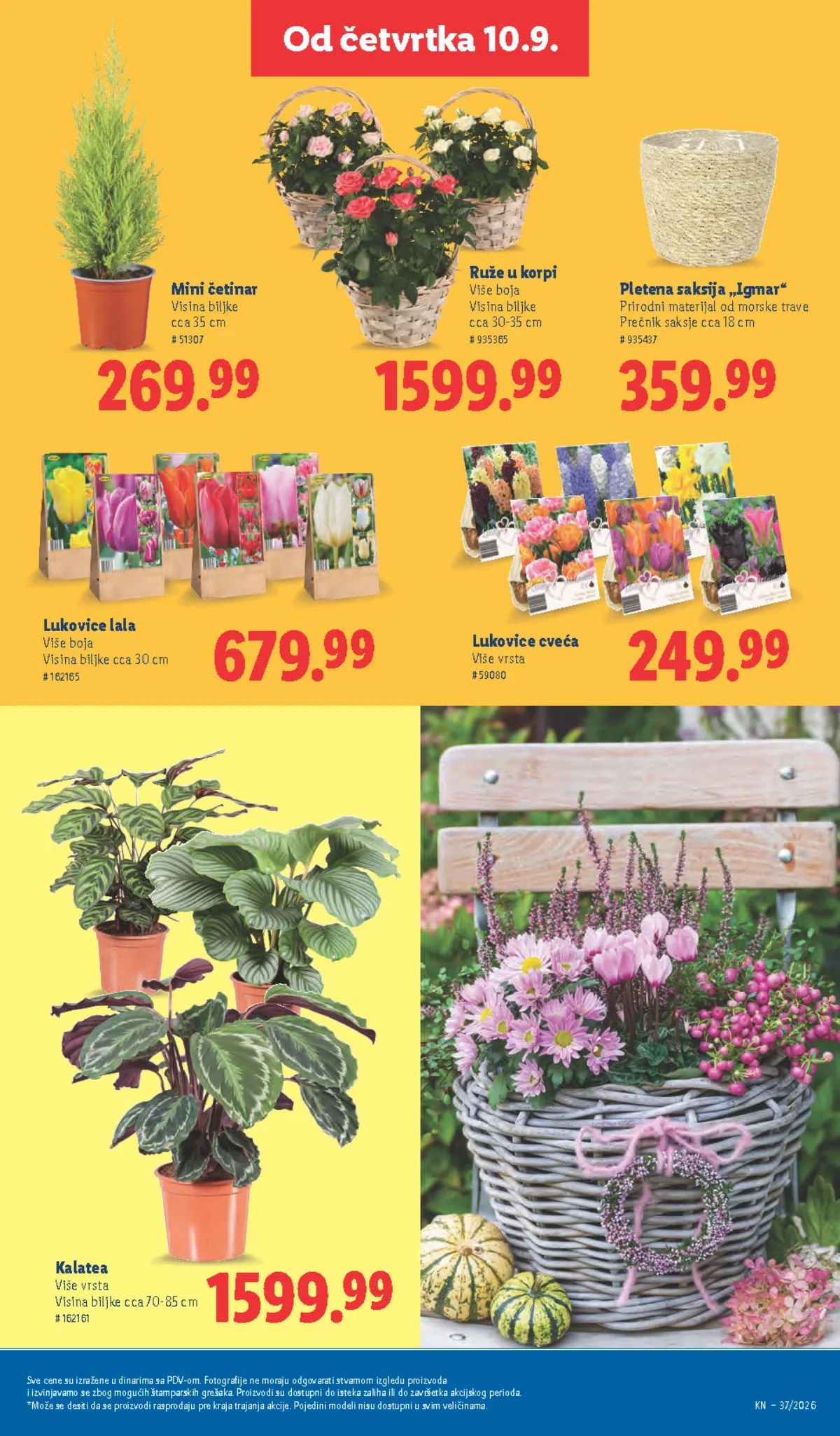 LIDL katalog od 10.09. do 16.09.2026. – strana 61 sa akcijskim cenama i ponudama