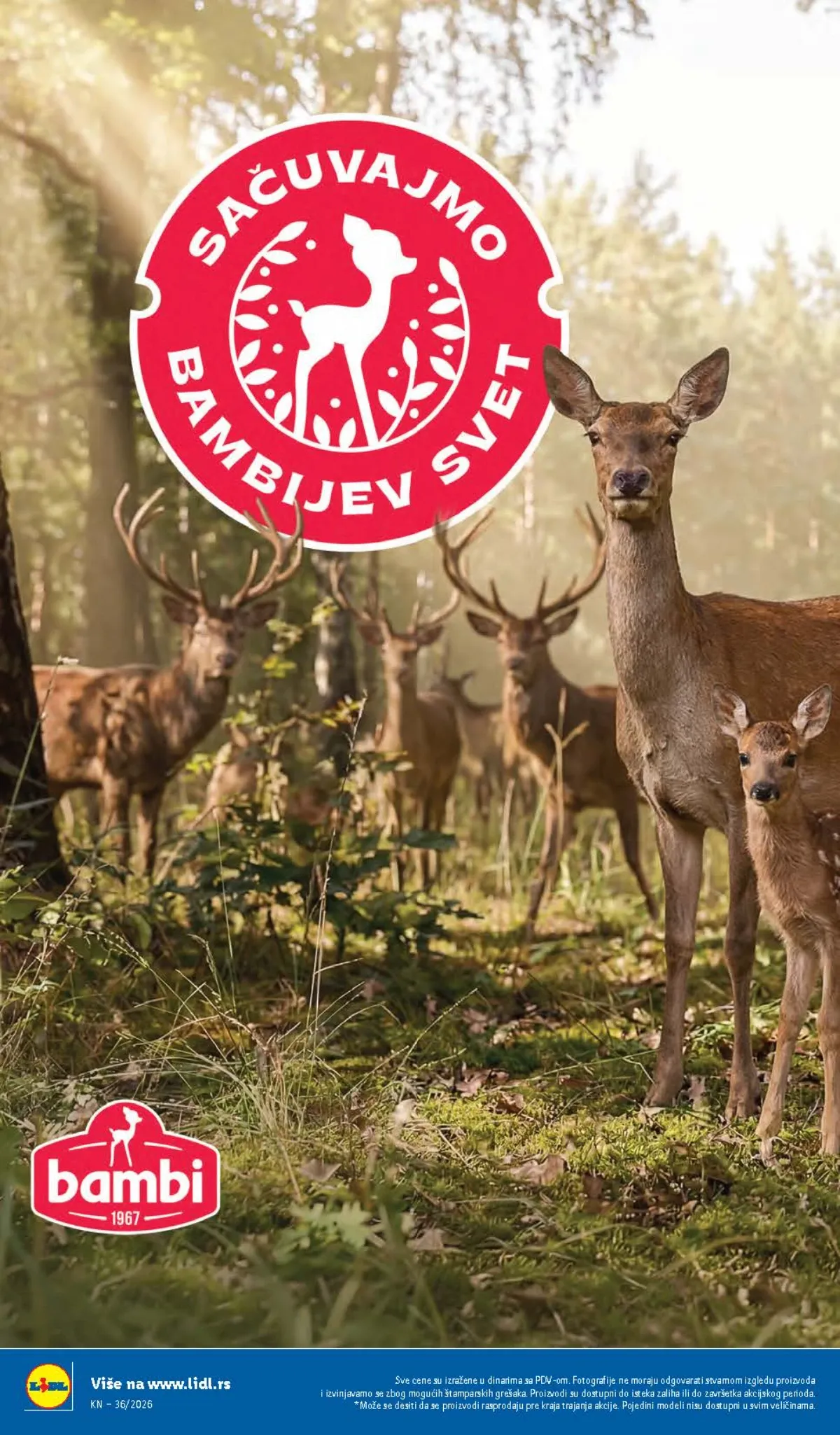 LIDL katalog do 09.09.2026. – strana 78
