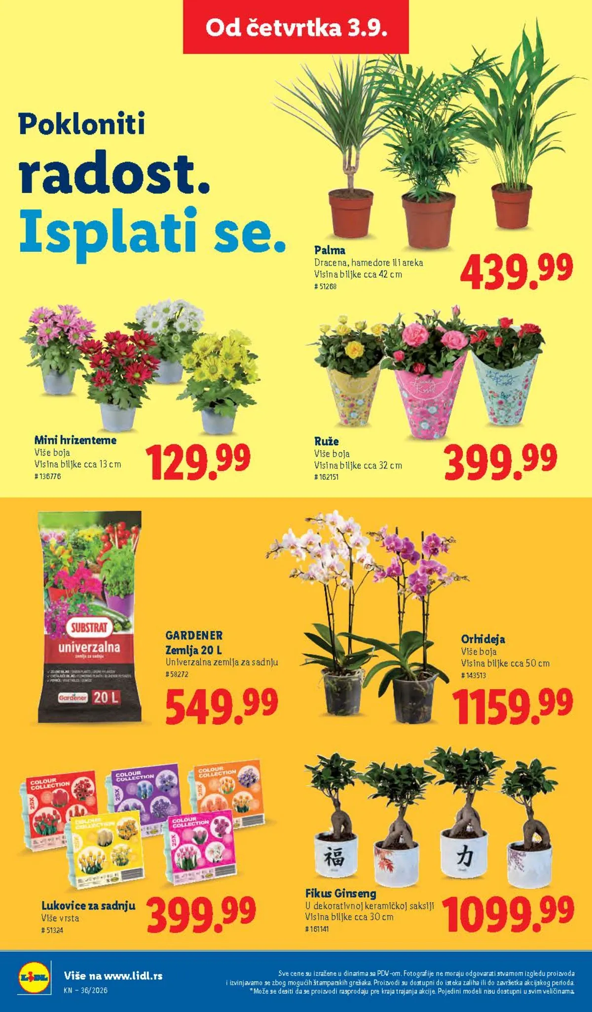 LIDL katalog do 09.09.2026. – strana 82